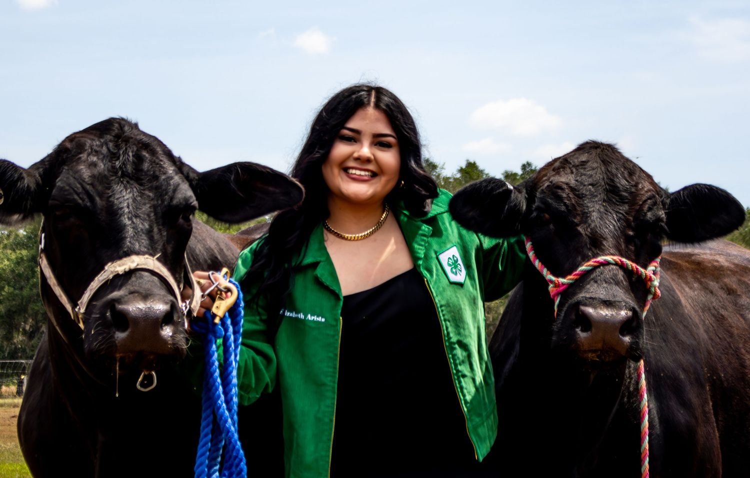 Young woman in green 4-H jacket smiles while holding two black Angus cattle with colorful lead ropes outdoors.
