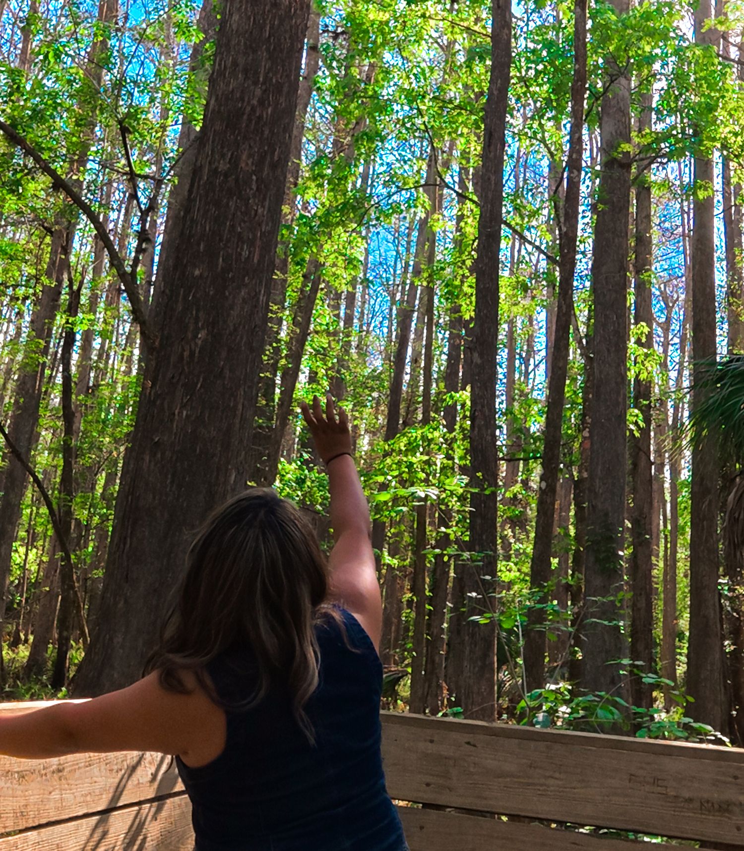 Woman reaches toward tall green trees from wooden deck in a sunlit lush forest.