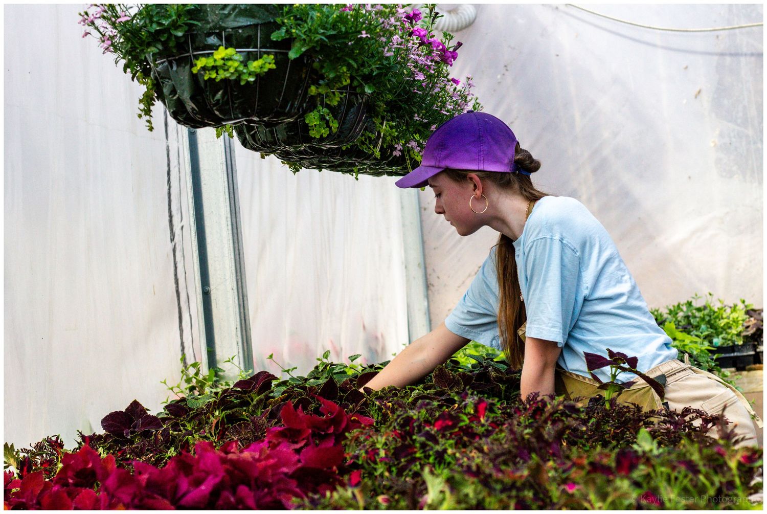 Young girl in purple cap tending to colorful flowers and plants inside a greenhouse.