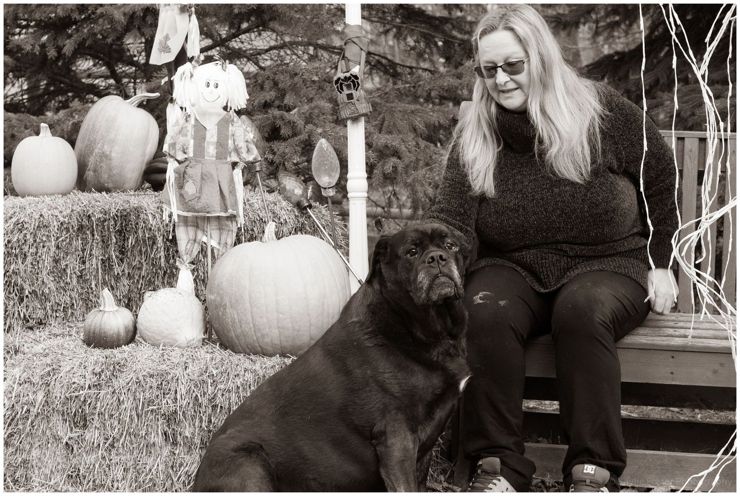 Woman with long blonde hair sits on steps beside a large dark dog, surrounded by pumpkins and hay bales in a fall display.