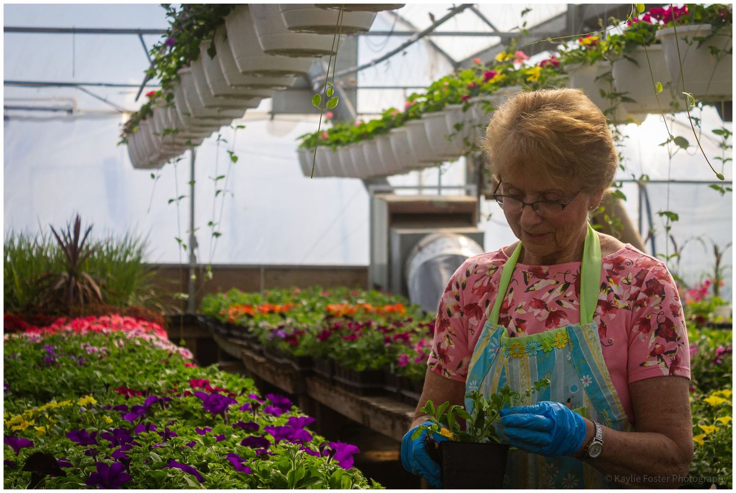 Woman in apron tending to plants in a vibrant greenhouse filled with colorful flowers.