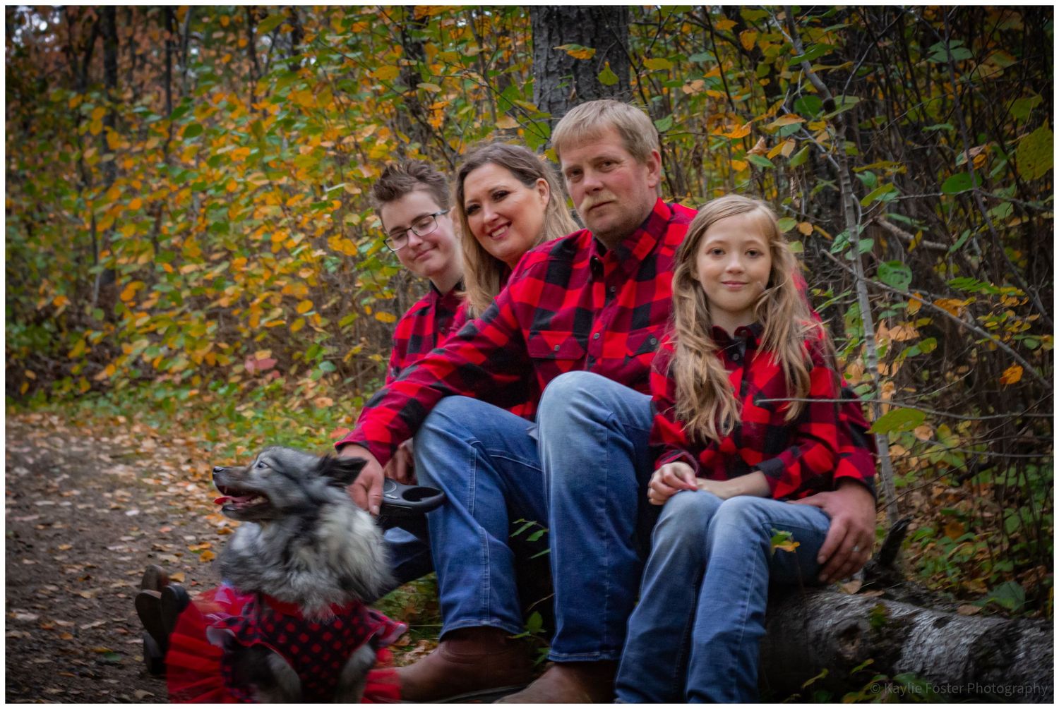 Family of four in matching red plaid jackets sit on a log with their dog in autumn woods.