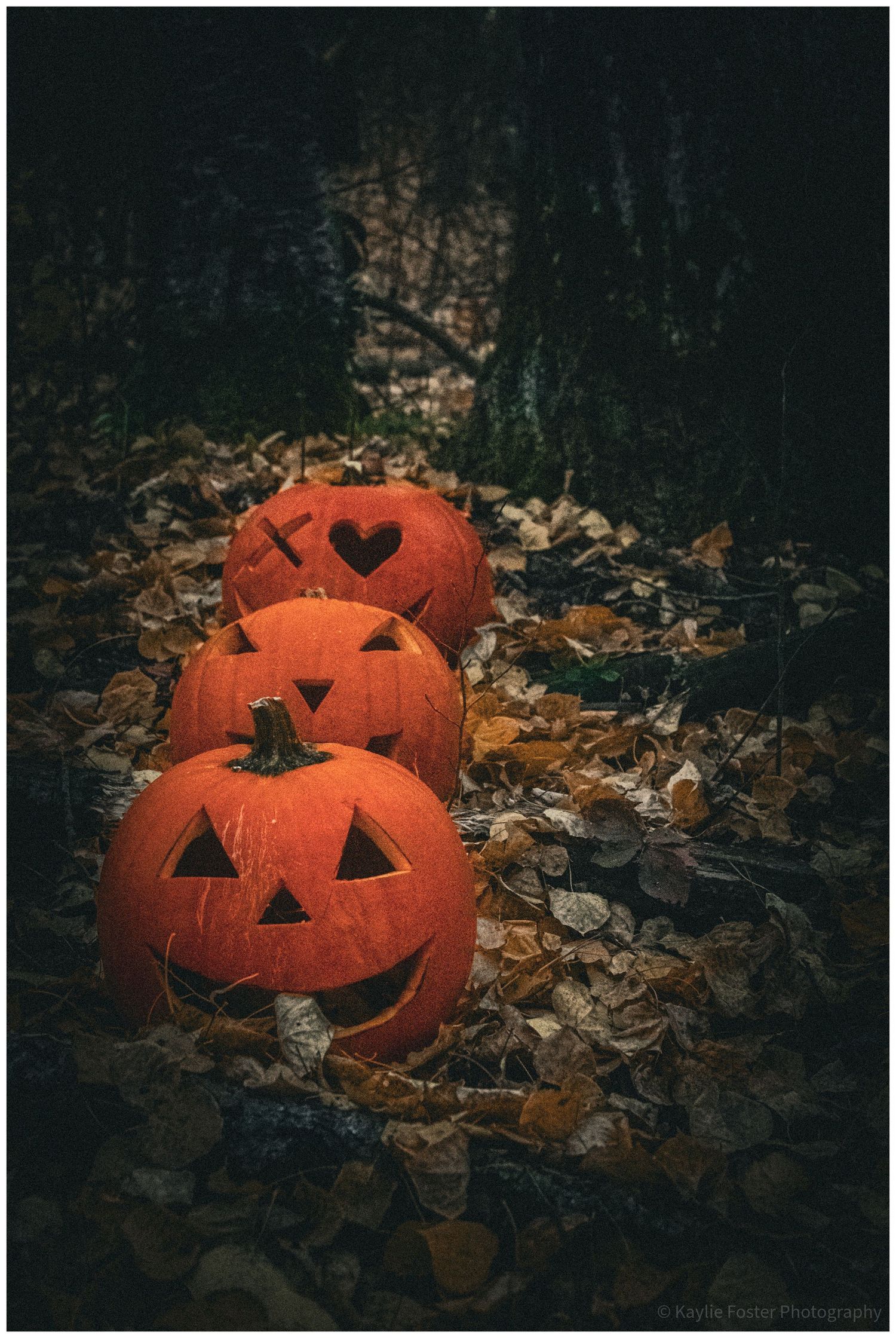 Three carved Halloween jack-o-lanterns with glowing faces rest among fallen autumn leaves in a dark forest setting.