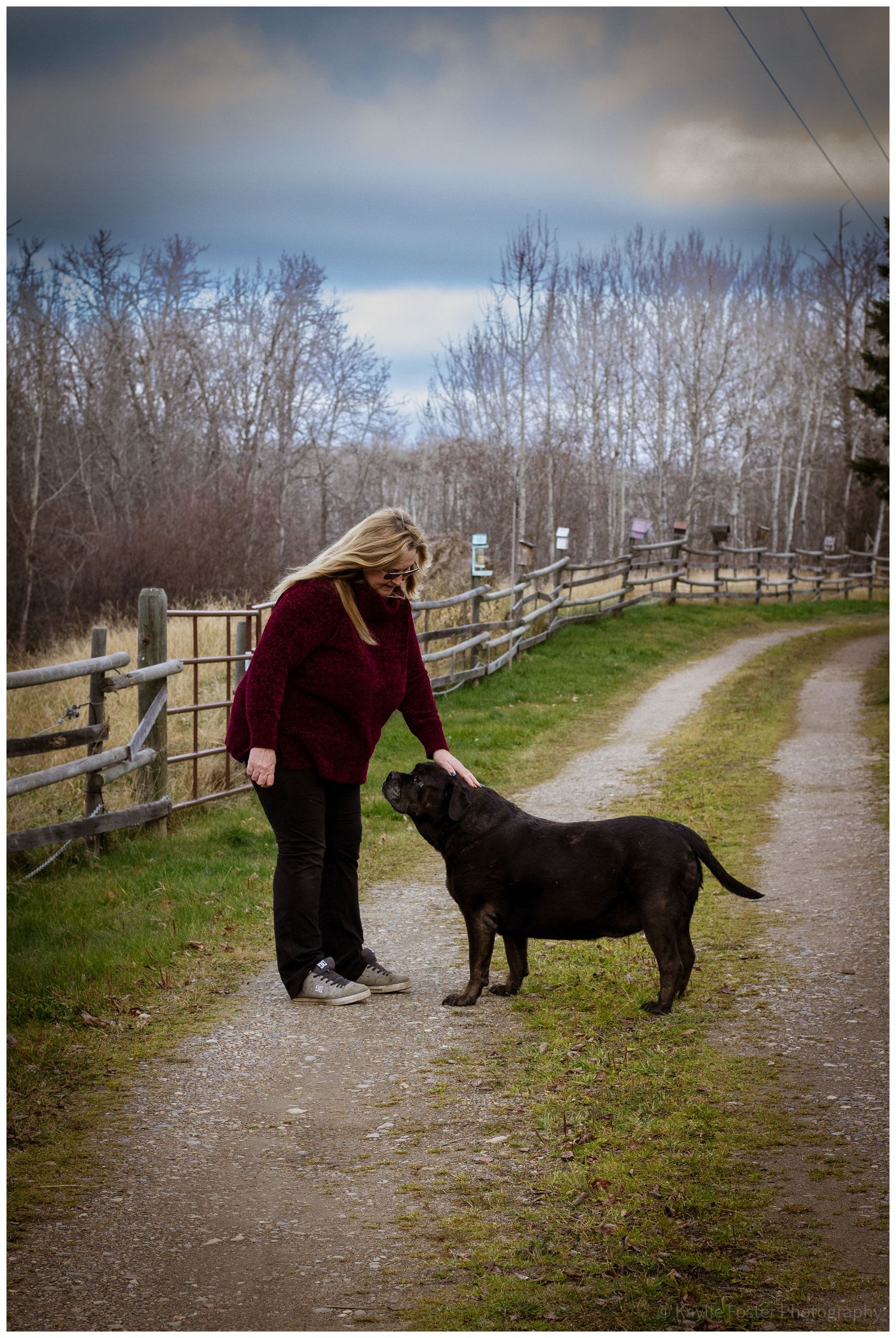 Woman in red sweater petting a black Labrador on a gravel path beside a wooden fence with bare trees.