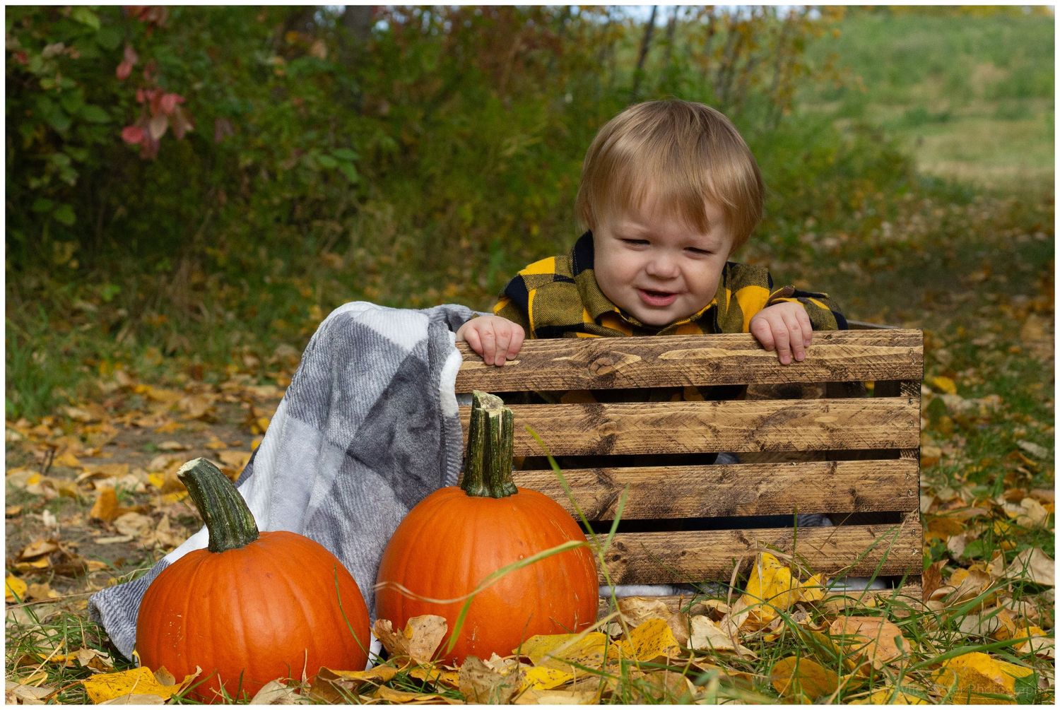 Toddler peeks over rustic wooden crate surrounded by orange pumpkins on autumn leaves outdoors.