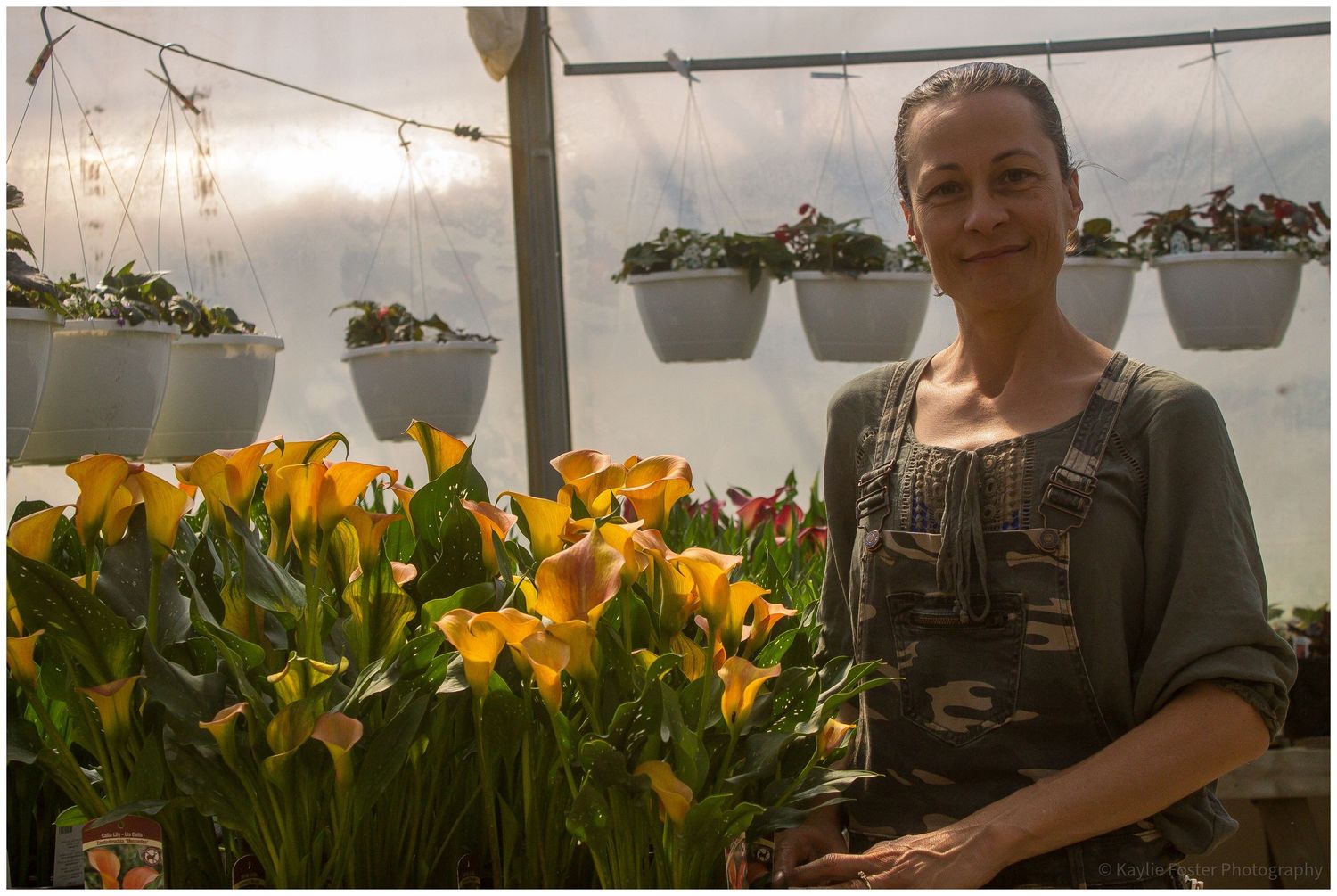 Woman tending vibrant yellow calla lilies in a greenhouse with hanging white flower baskets in the background.
