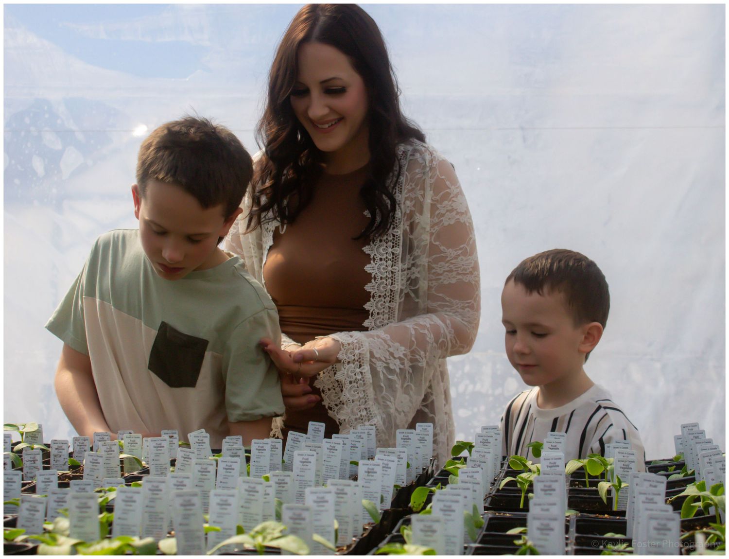 A mother and two young boys examine seedlings in a greenhouse.