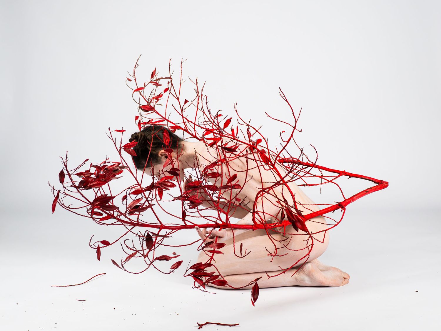 Fine art nude figure surrounded by sprawling red branches and botanical elements on white background.