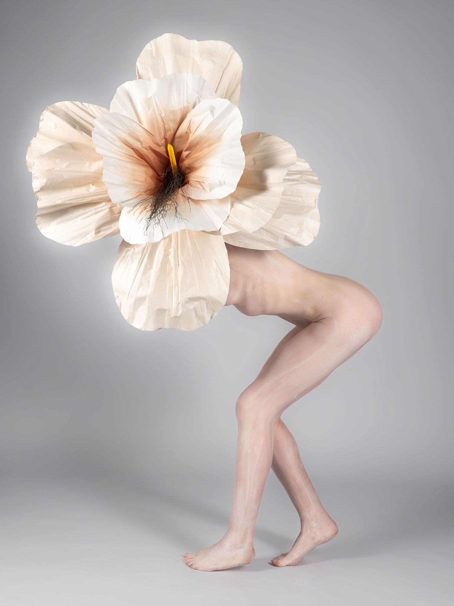 A person poses with a large white hibiscus flower obscuring their torso in a minimalist studio setting.