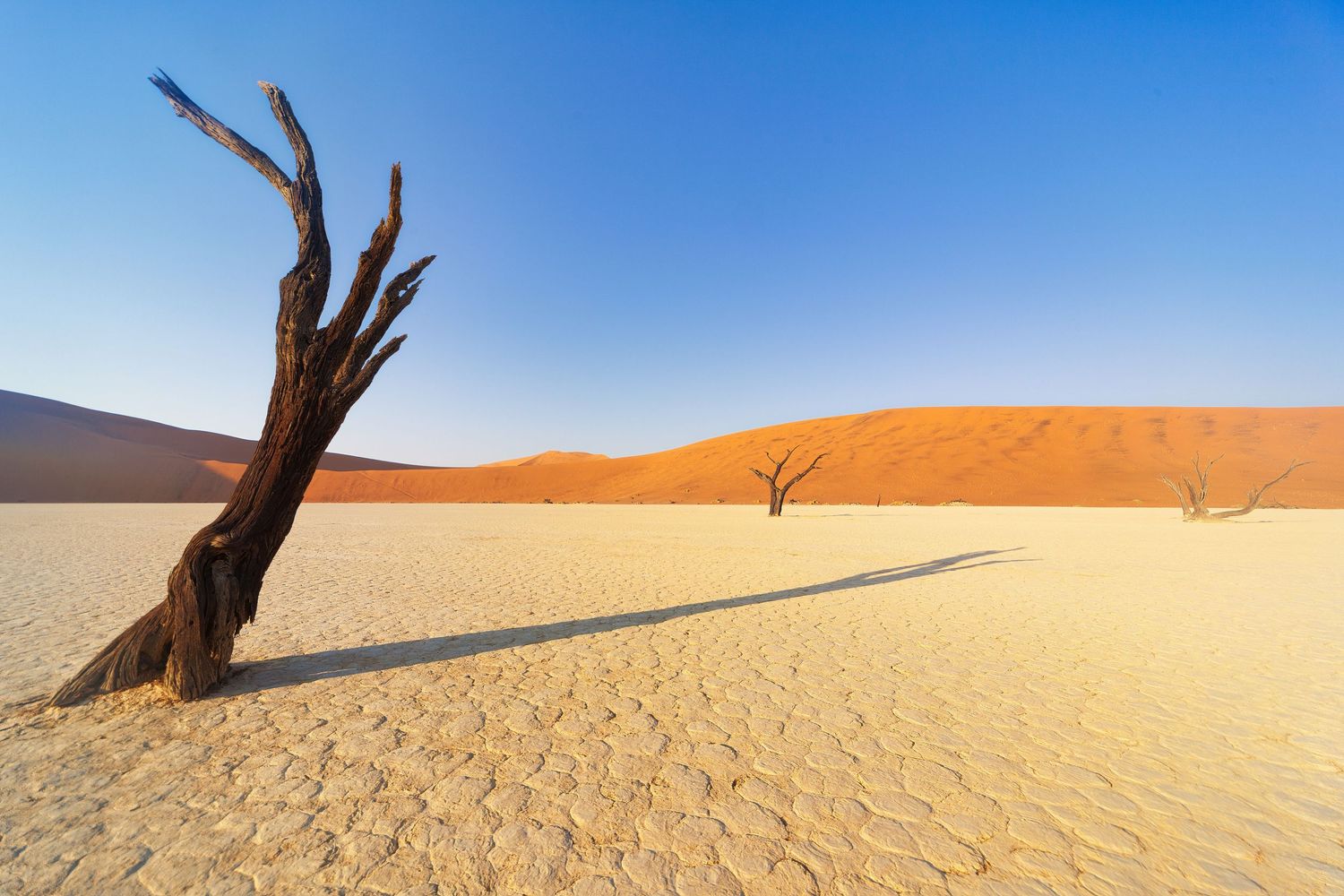 Dead tree casting long shadow on cracked white clay pan at Deadvlei, Namibia, with red sand dunes under blue sky.