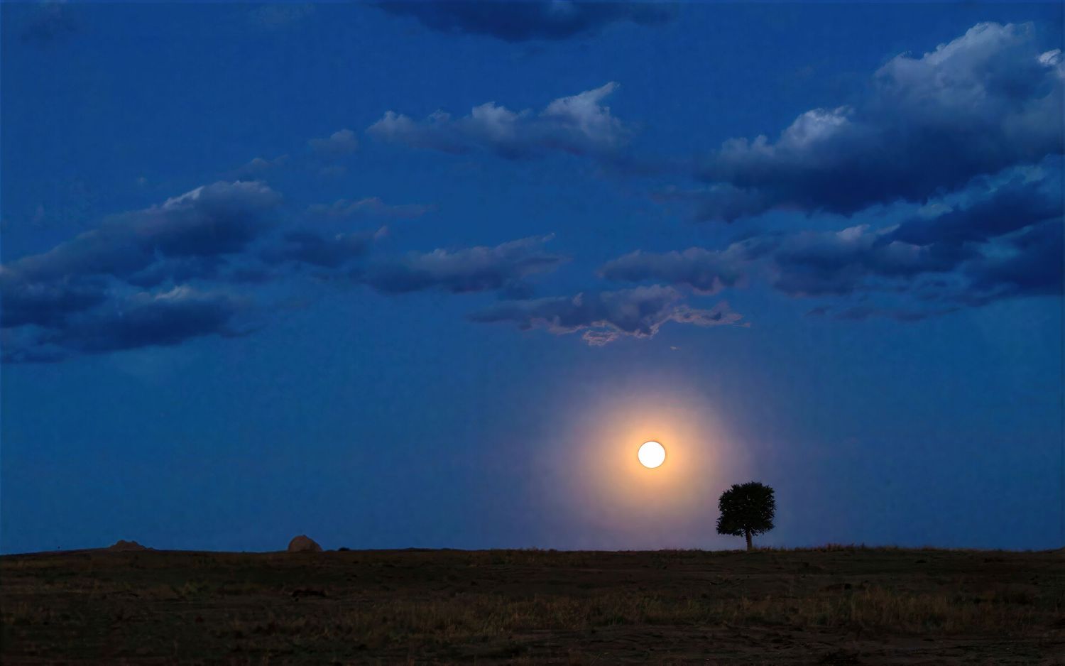 Full moon rising over a lone tree on a vast open plain under a twilight blue sky.