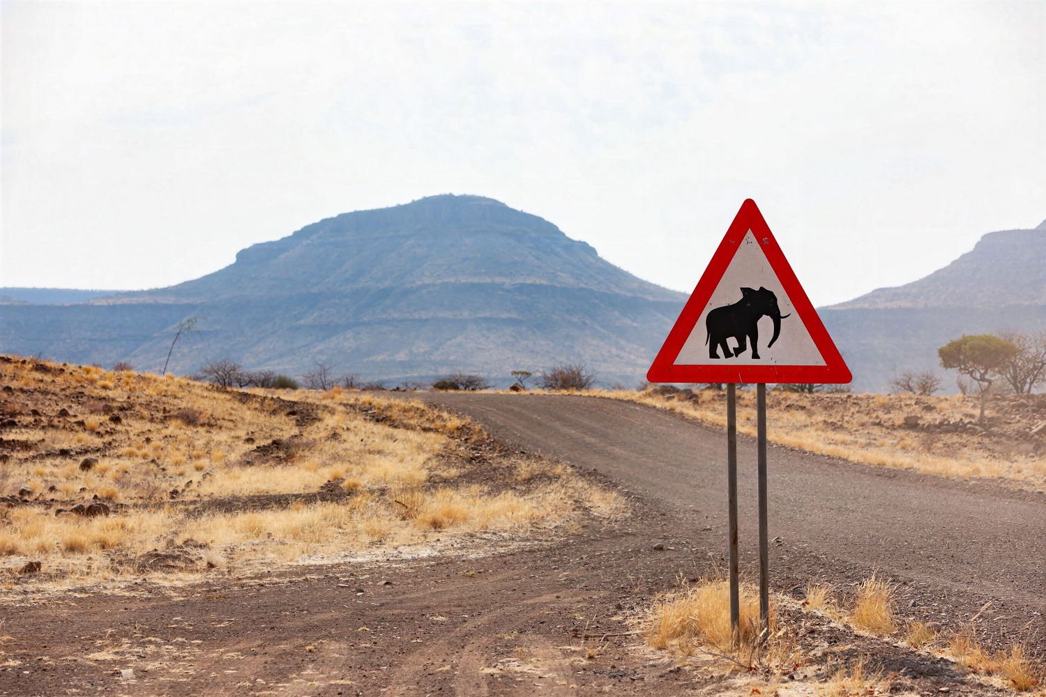 An elephant warning road sign stands beside a dirt road with a flat-topped mountain in Namibia.