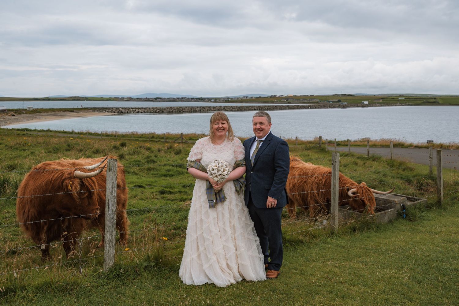 A bride and groom pose together beside a lake while shaggy Highland cattle graze behind a wooden fence on a cloudy day.