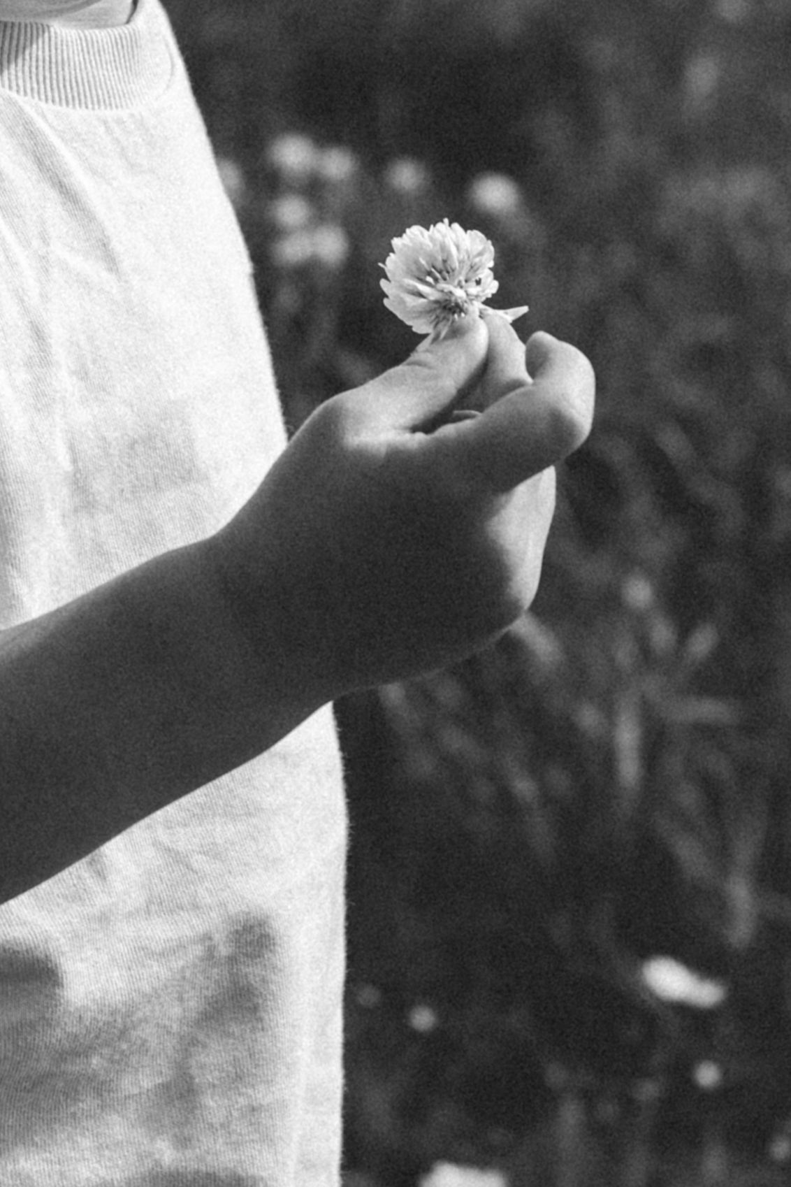 A black and white close-up of a child's hand gently holding a small clover flower against a soft blurred meadow.