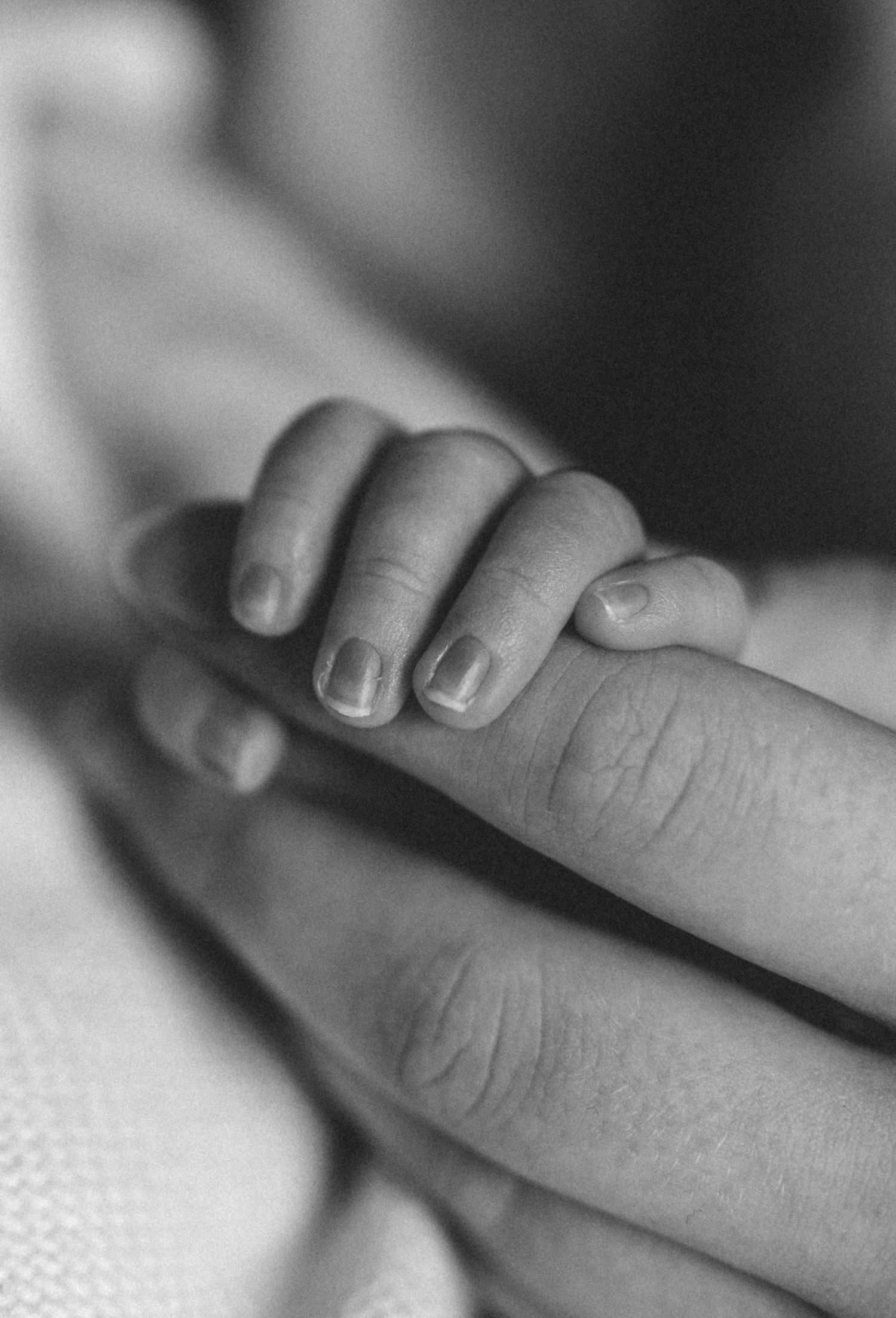 Black and white close-up of a newborn baby's tiny fingers resting on a parent's hand.