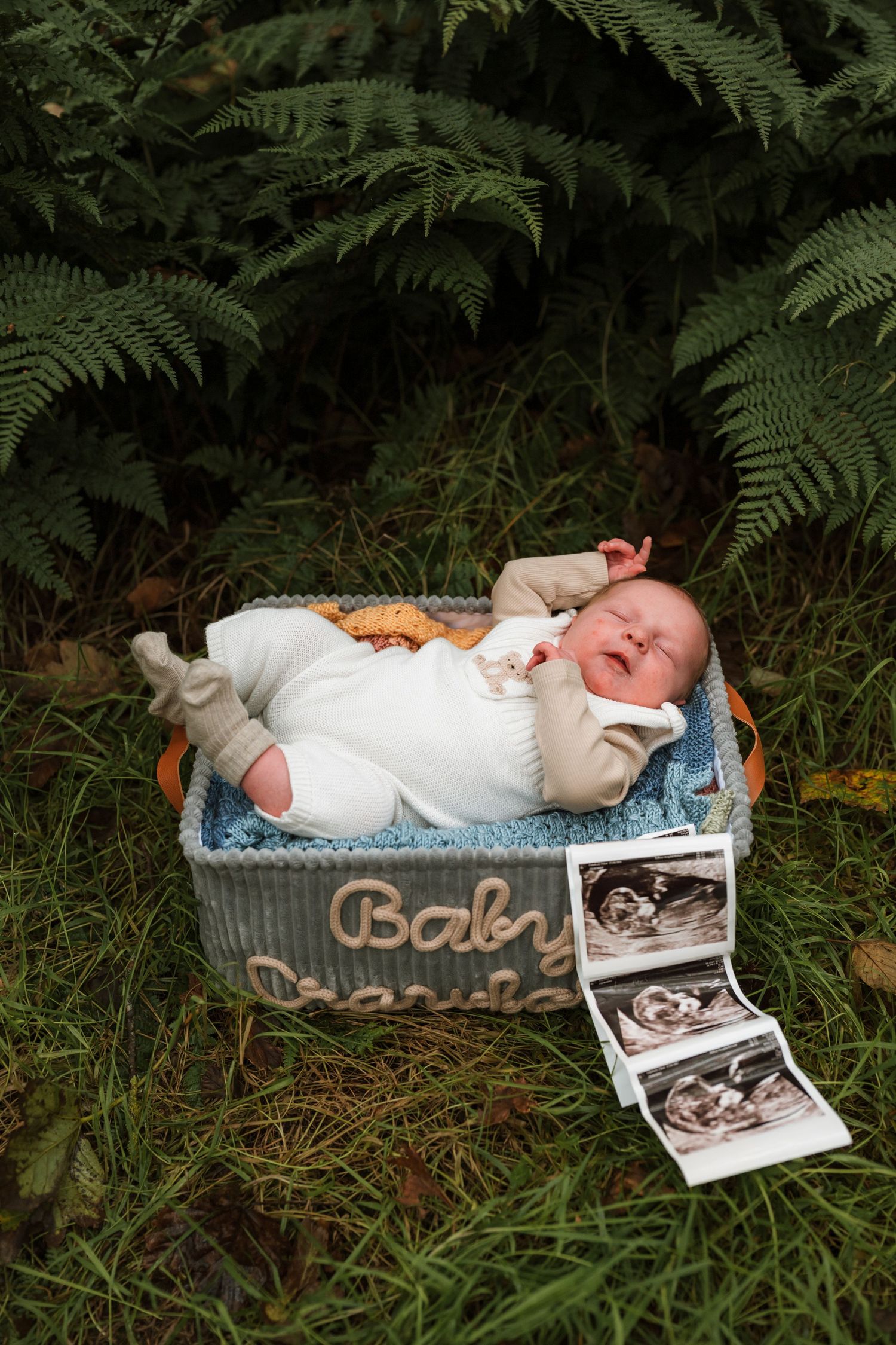 Sleeping newborn baby lying in a woven basket on grass among ferns, with ultrasound scan photos placed beside it.