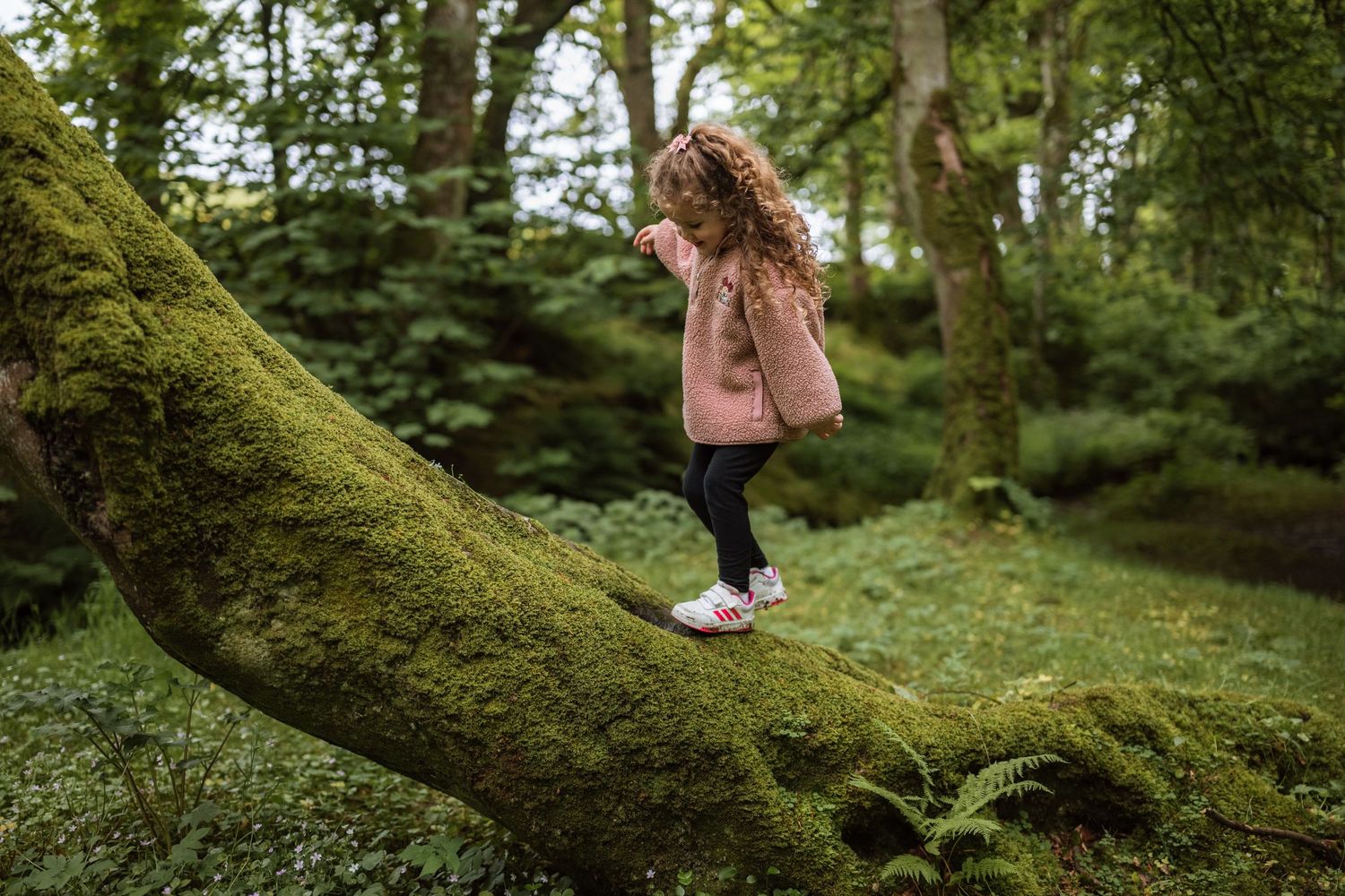 Young girl in a pink jacket balances on a moss-covered fallen tree trunk in a green forest.