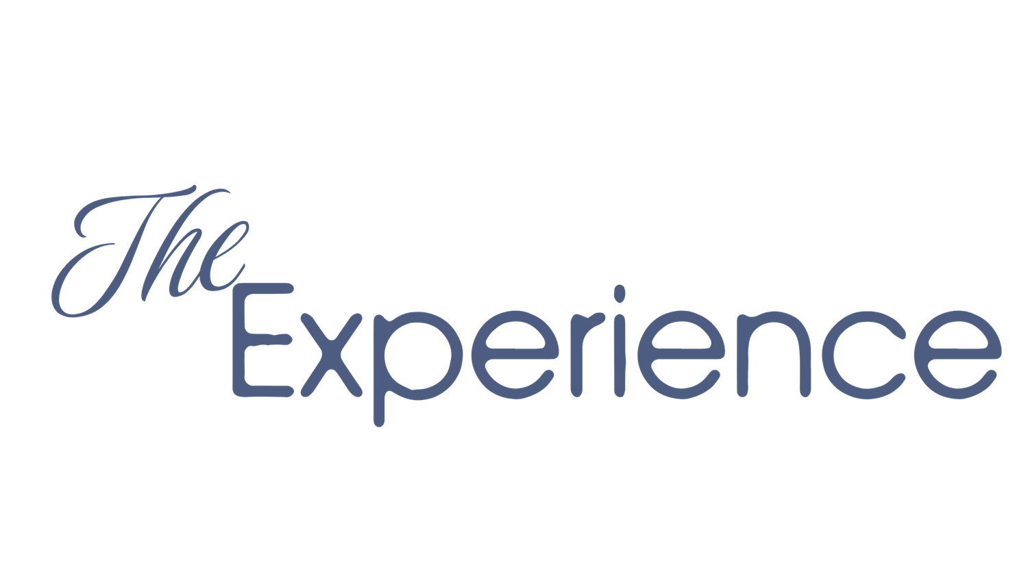 The Experience text logo in blue cursive and serif fonts on a clean white background.