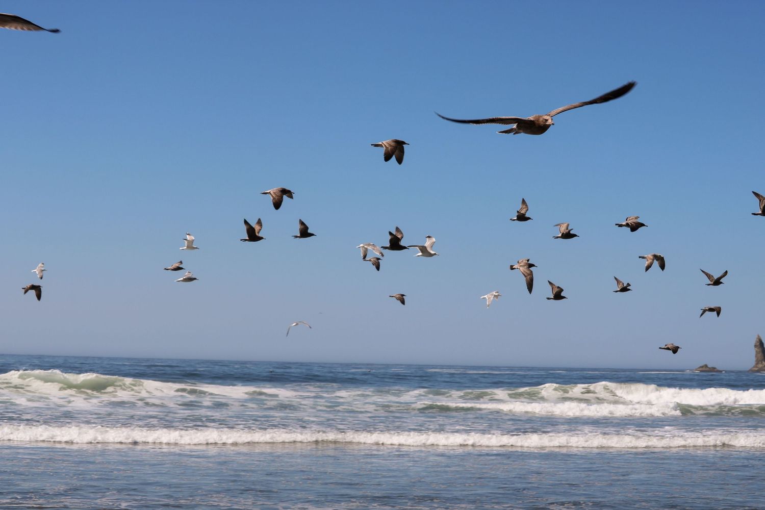 A sky of life
