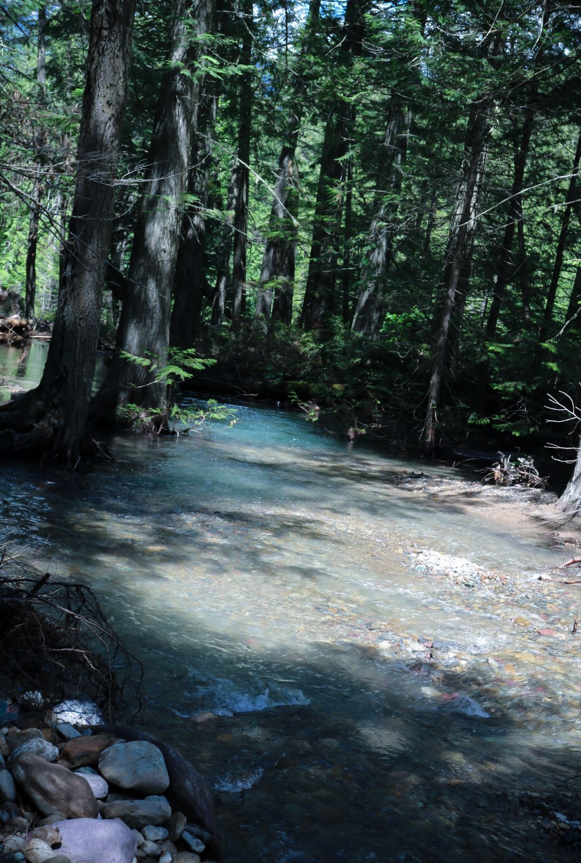 Whimsical fairy stream