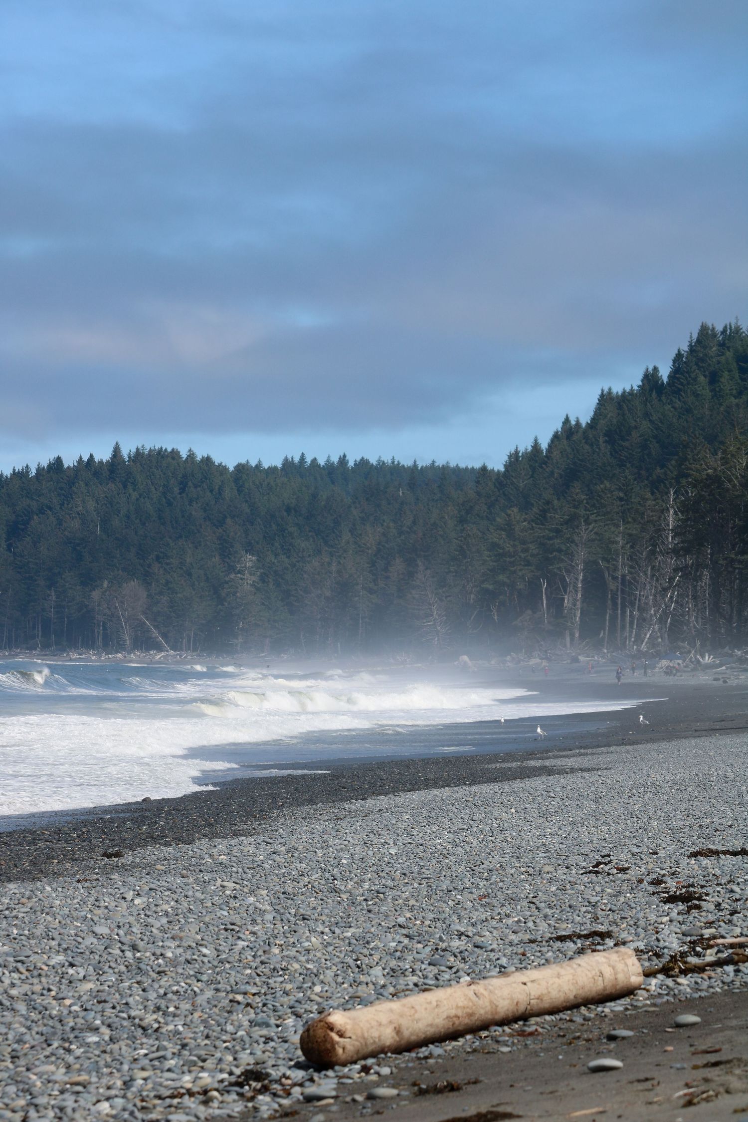 Misty west coast beaches 2