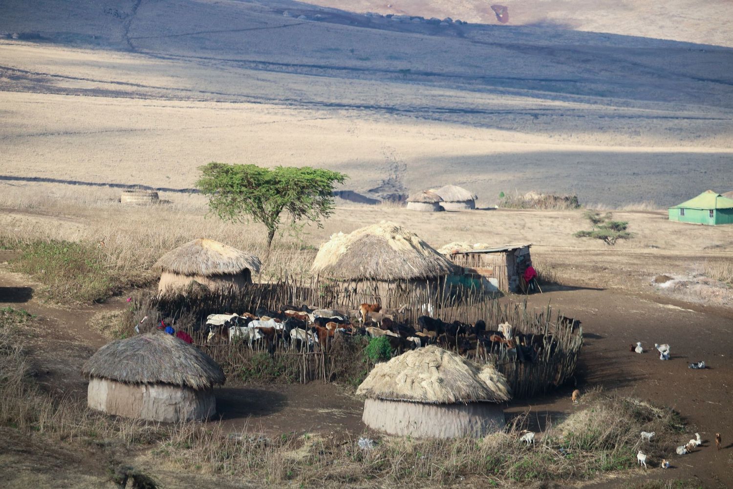 Villages of Ngorongoro 2
