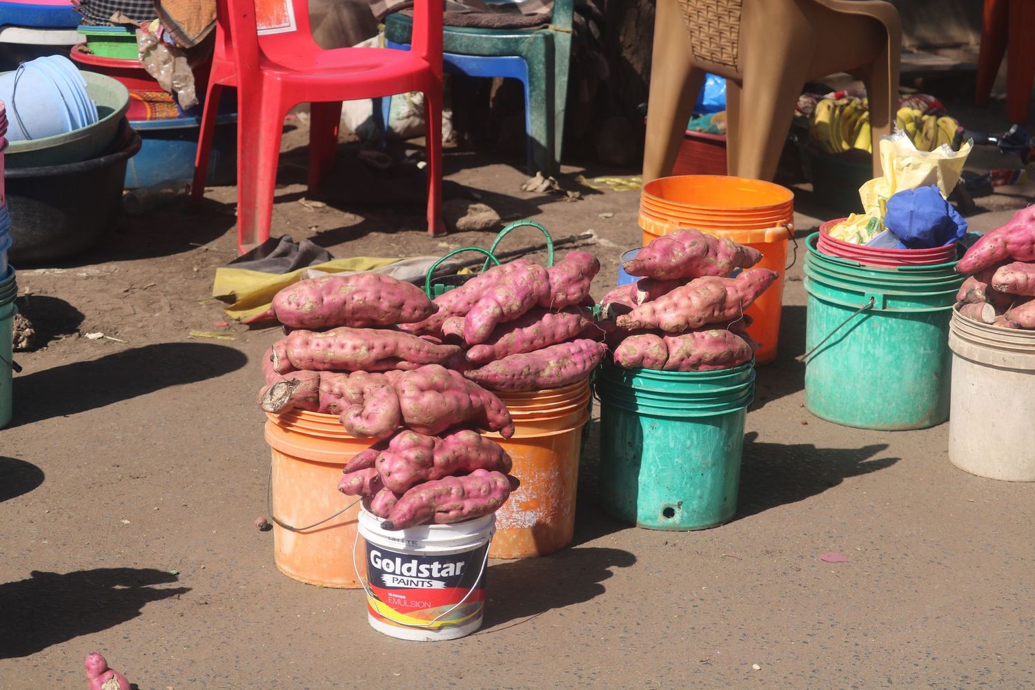 Market day yams
