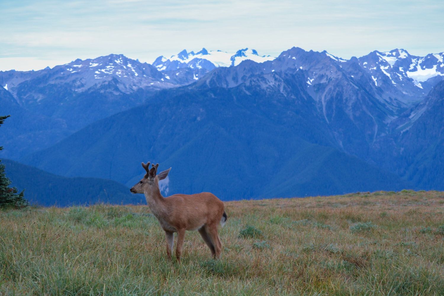 North Cascades National Park 3