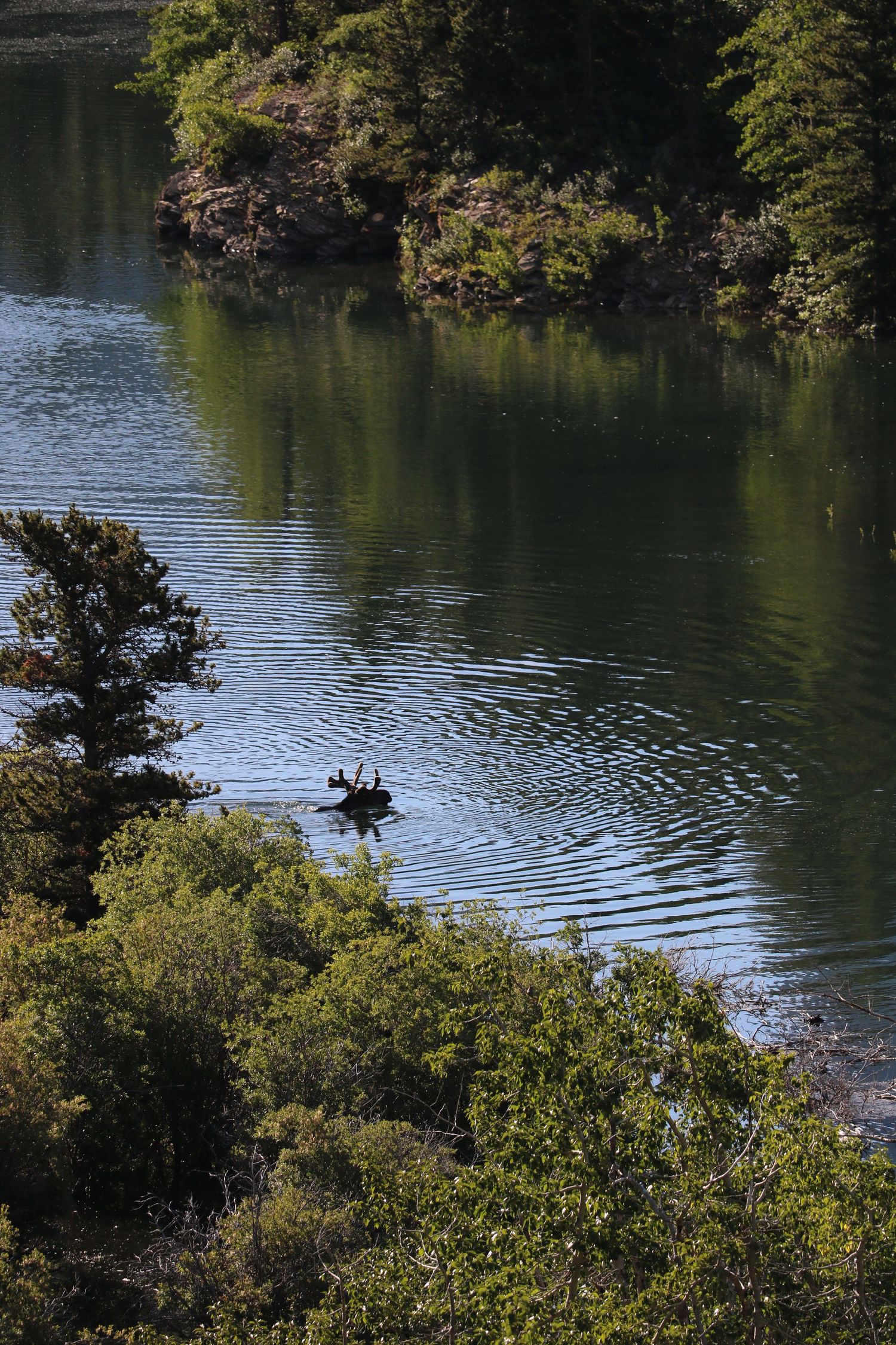 Head above the water