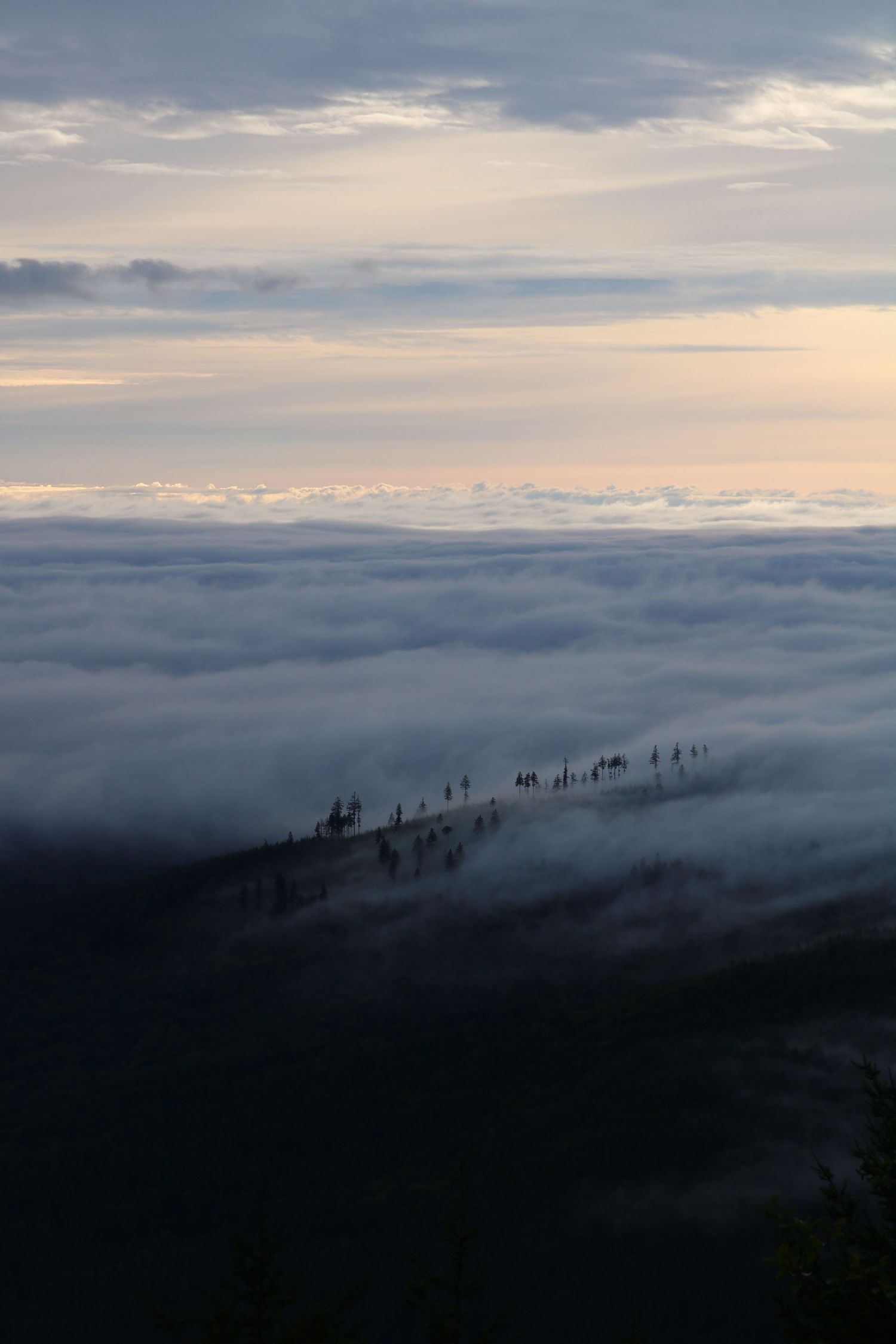 Fog rolling in 1