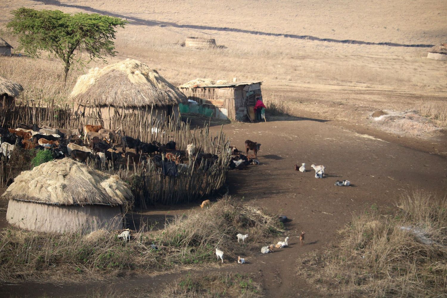 Villages of Ngorongoro 1
