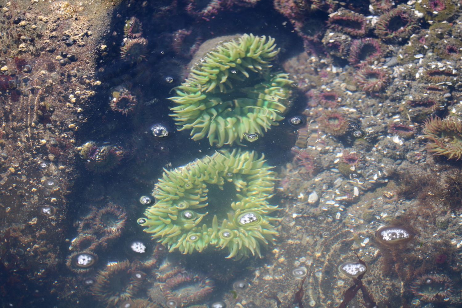 Life beneath the surface 2