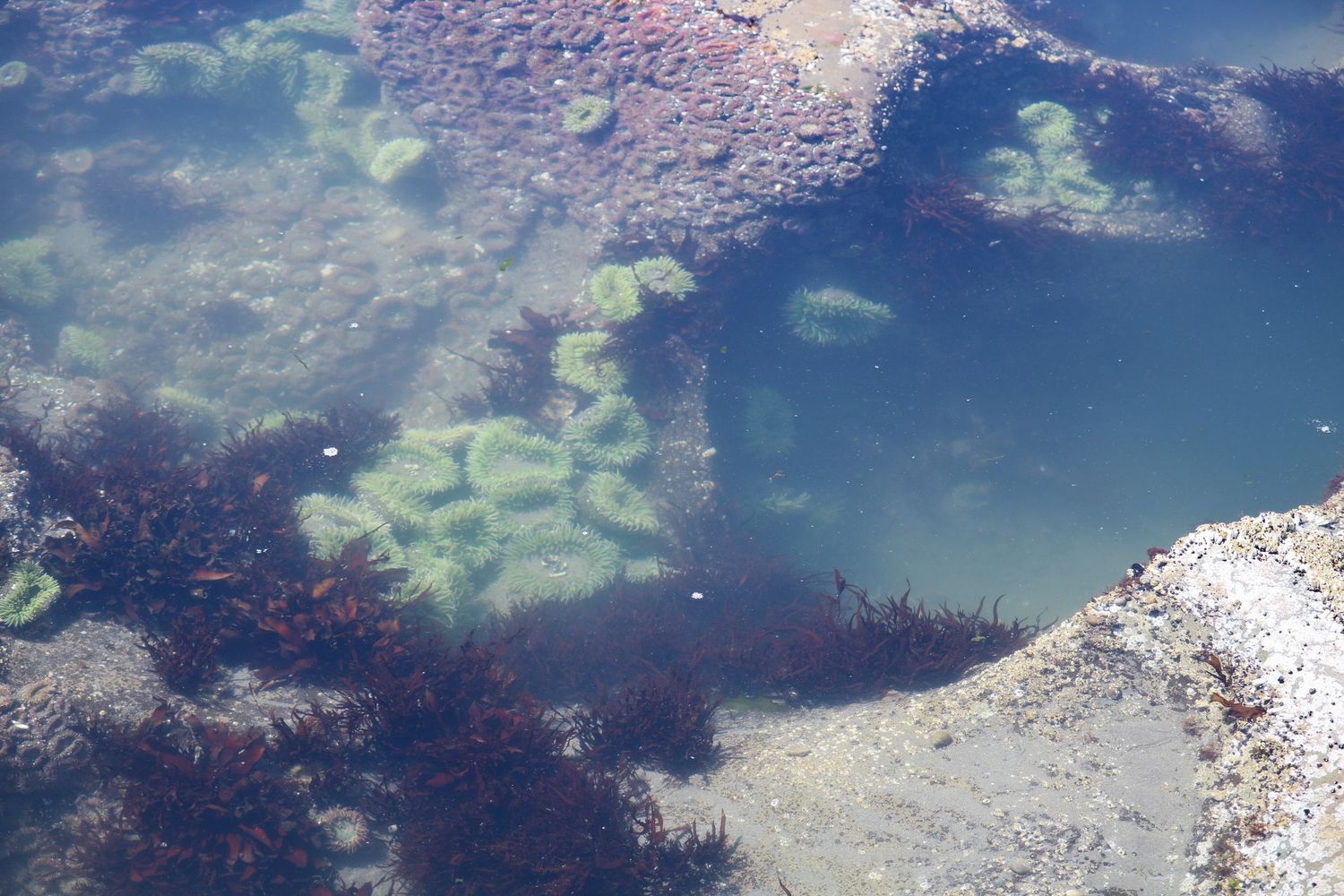 Life beneath the surface 1