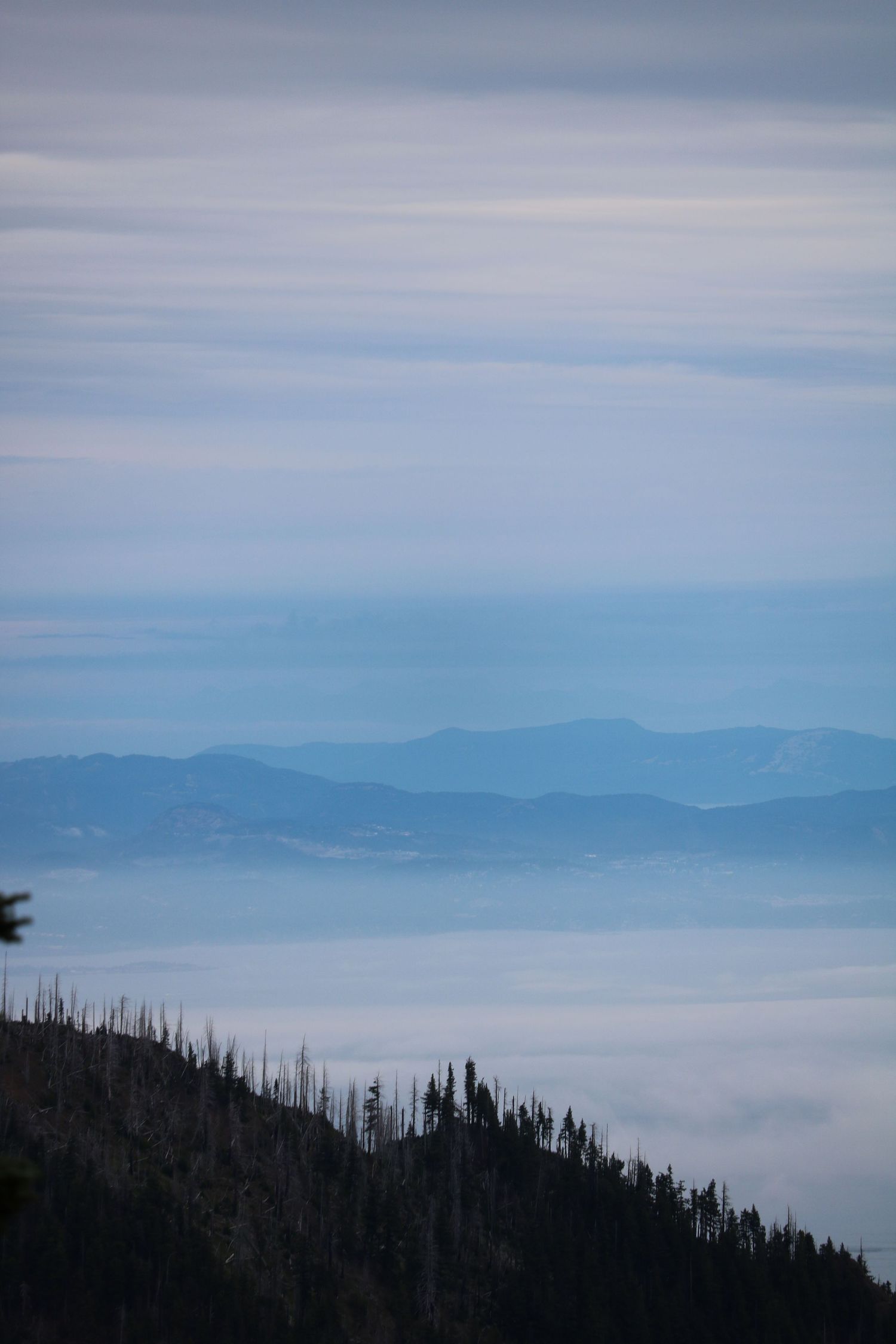 Ocean of clouds