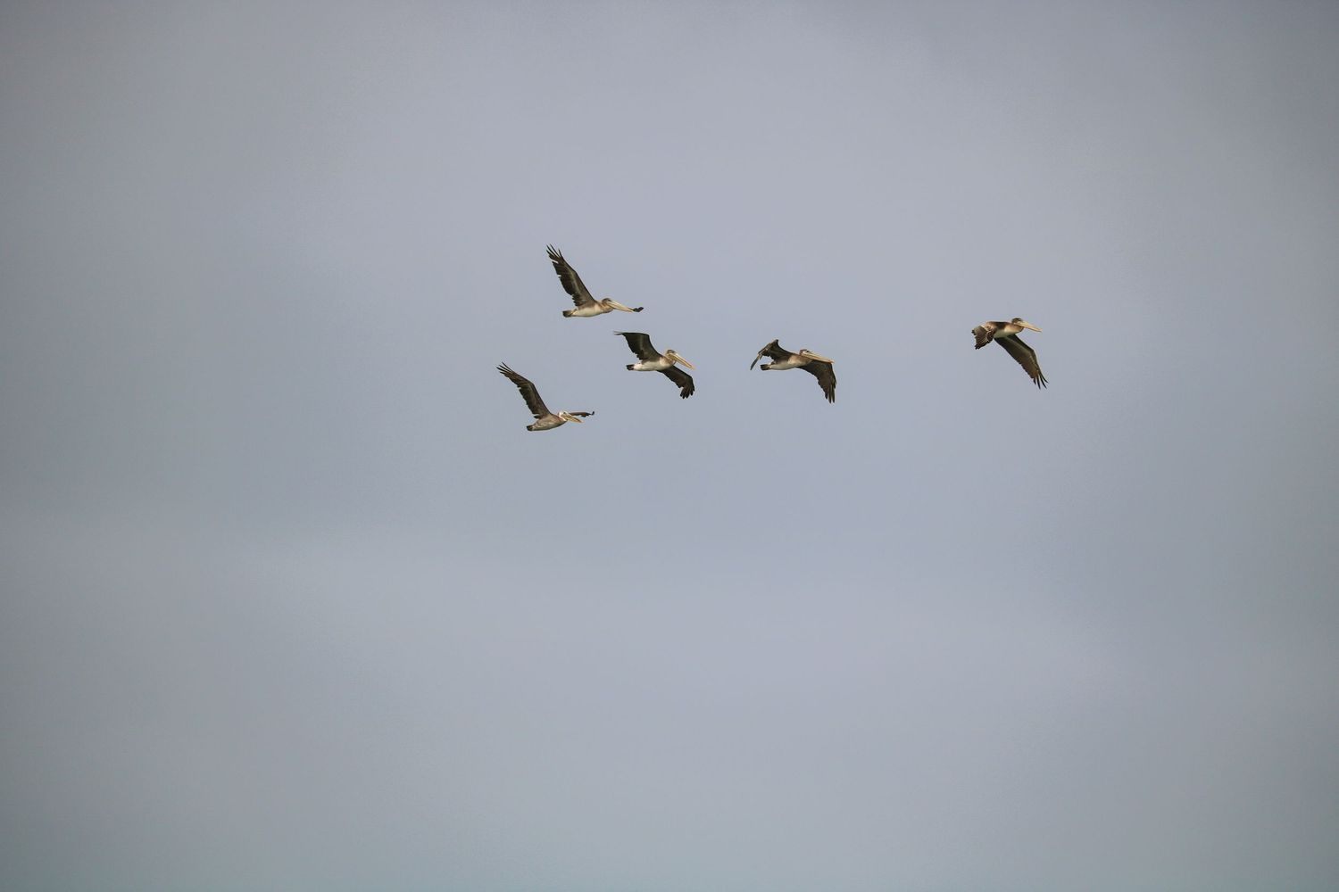 In formation