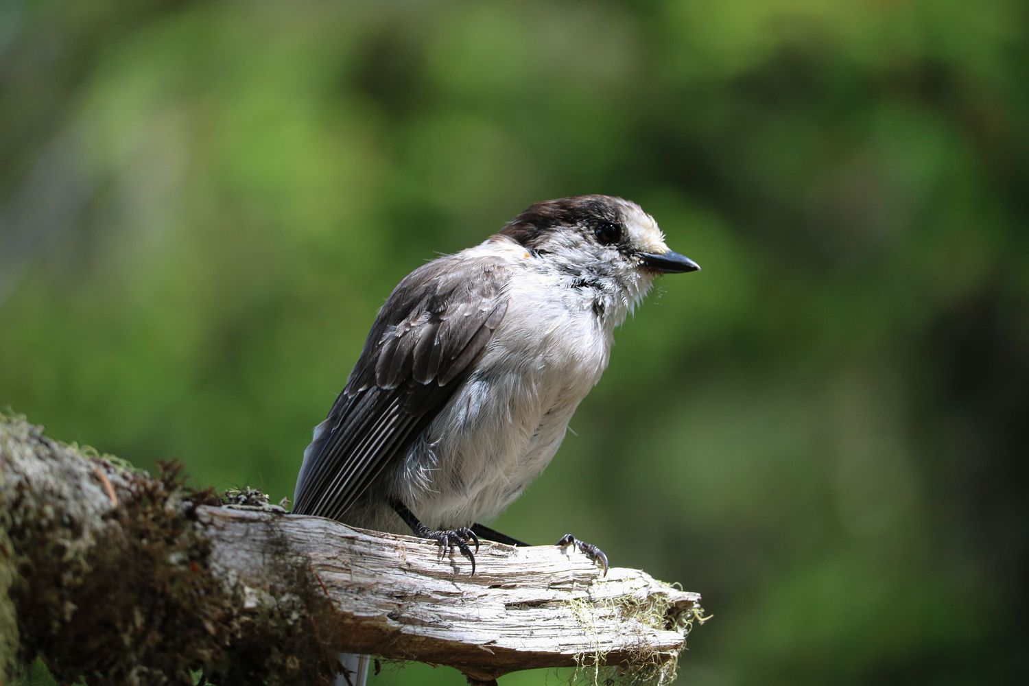 Watchful and reverent