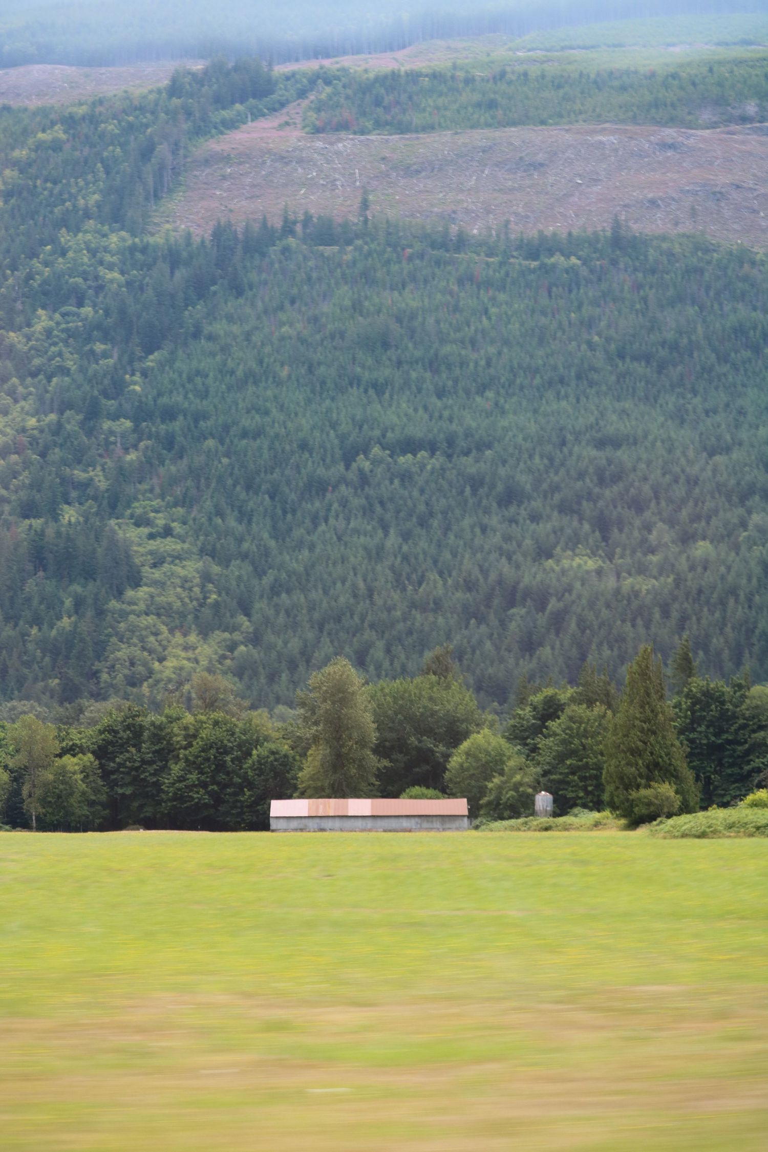 Blurred countryside of Washington