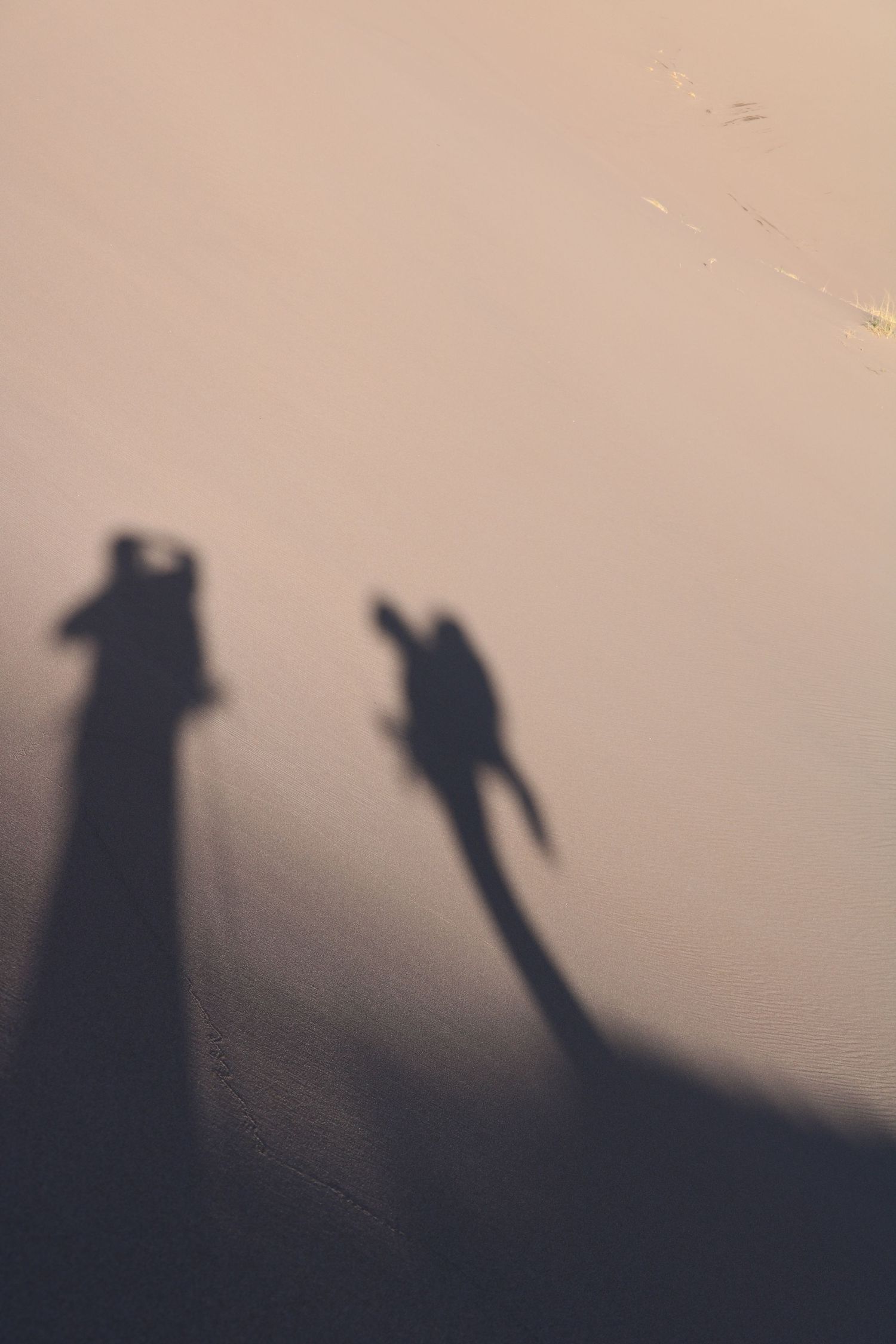 Shadows