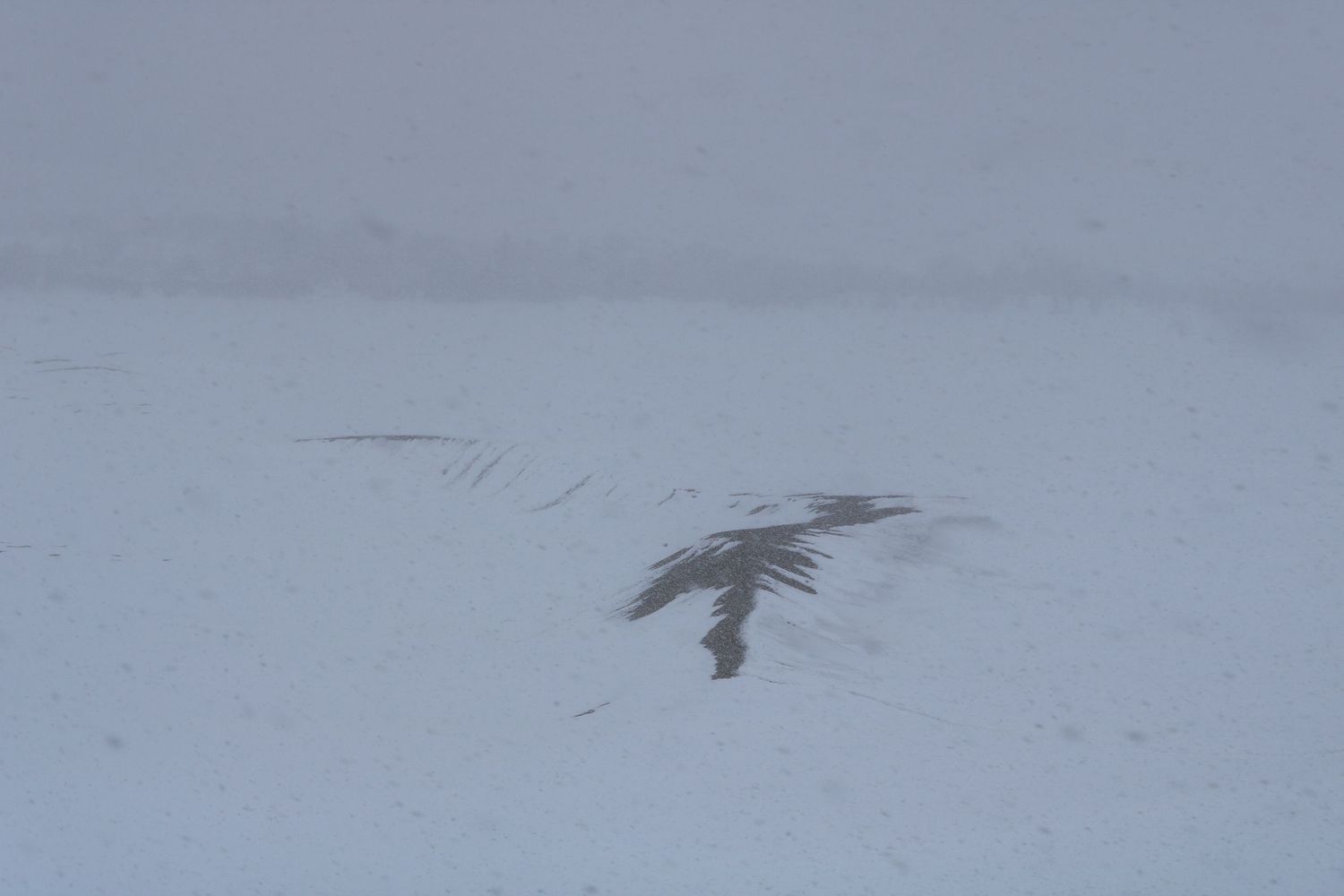 Blizzards over sand 1