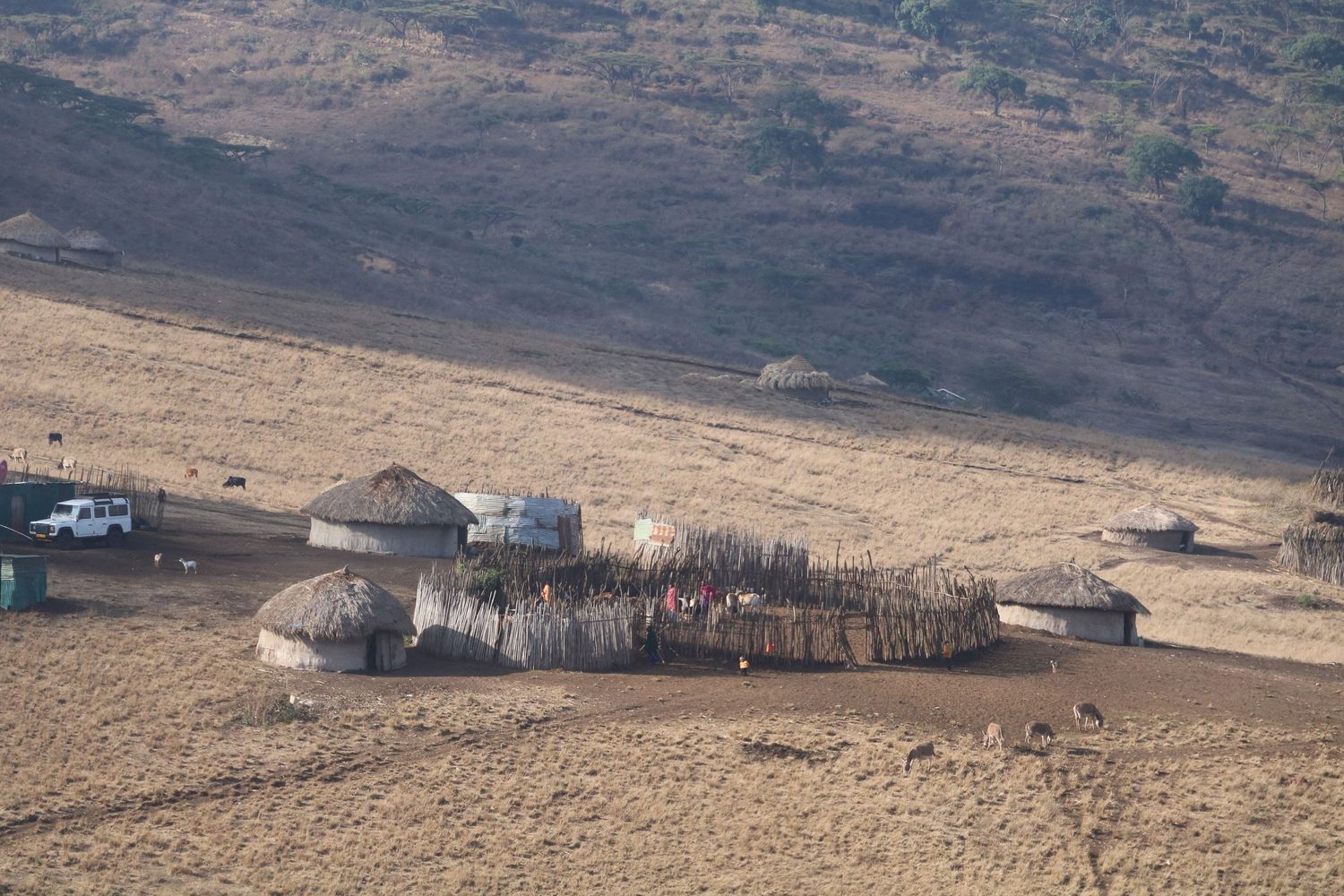 Ngorongoro Conservation Area 2