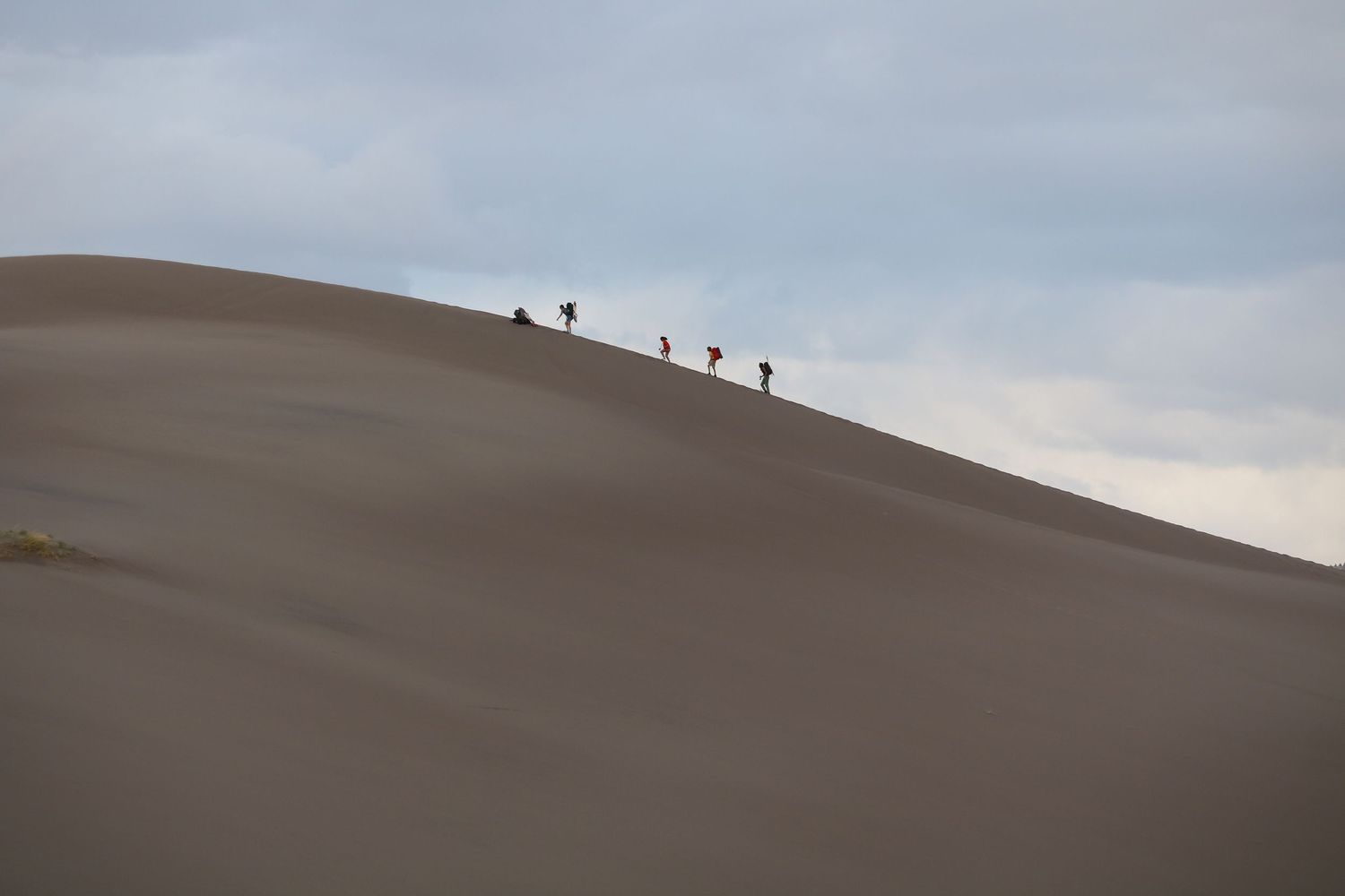 Up the dunes