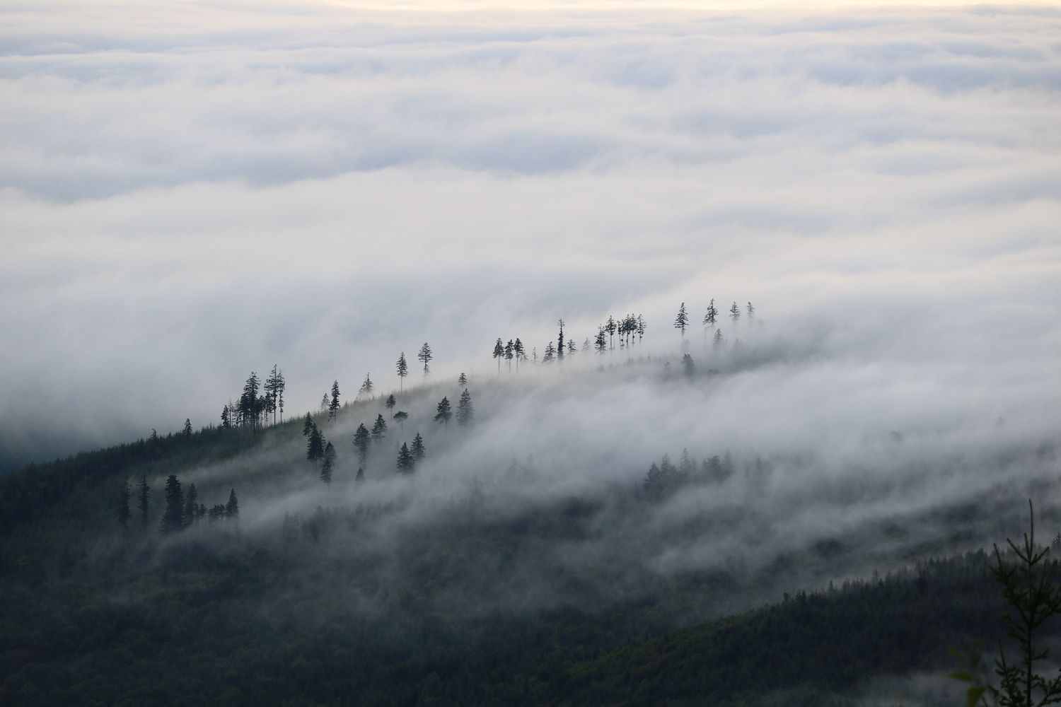 Fog rolling in 2