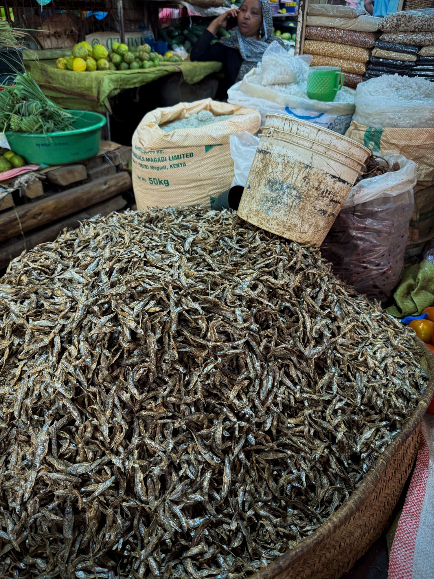 Arusha: market fish