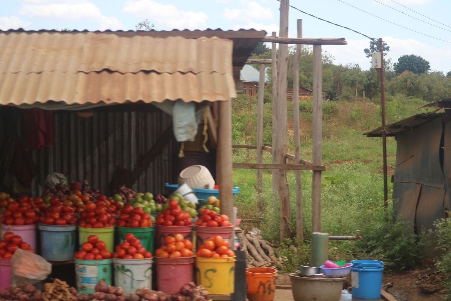 Plethora of produce