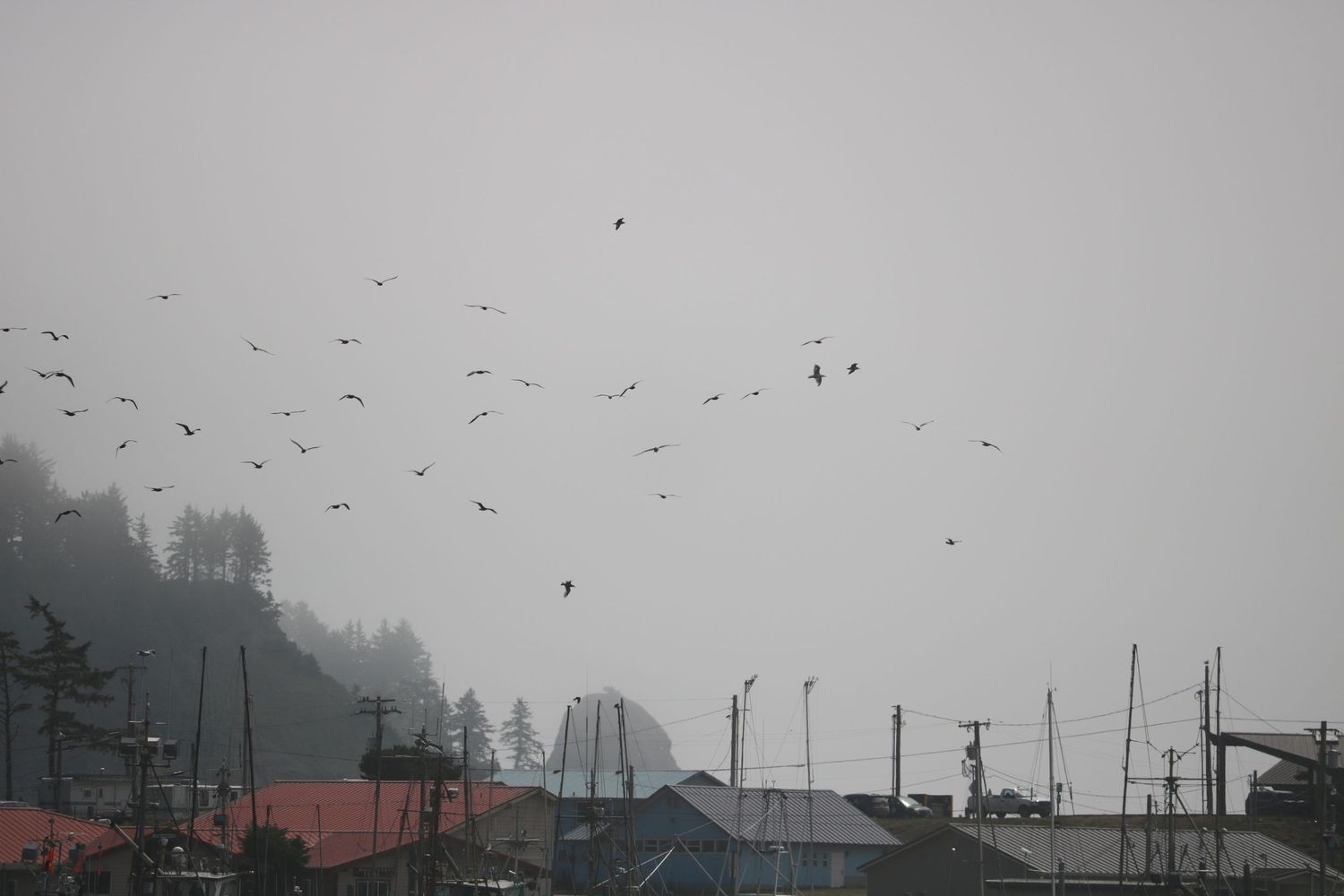 Take to the sky