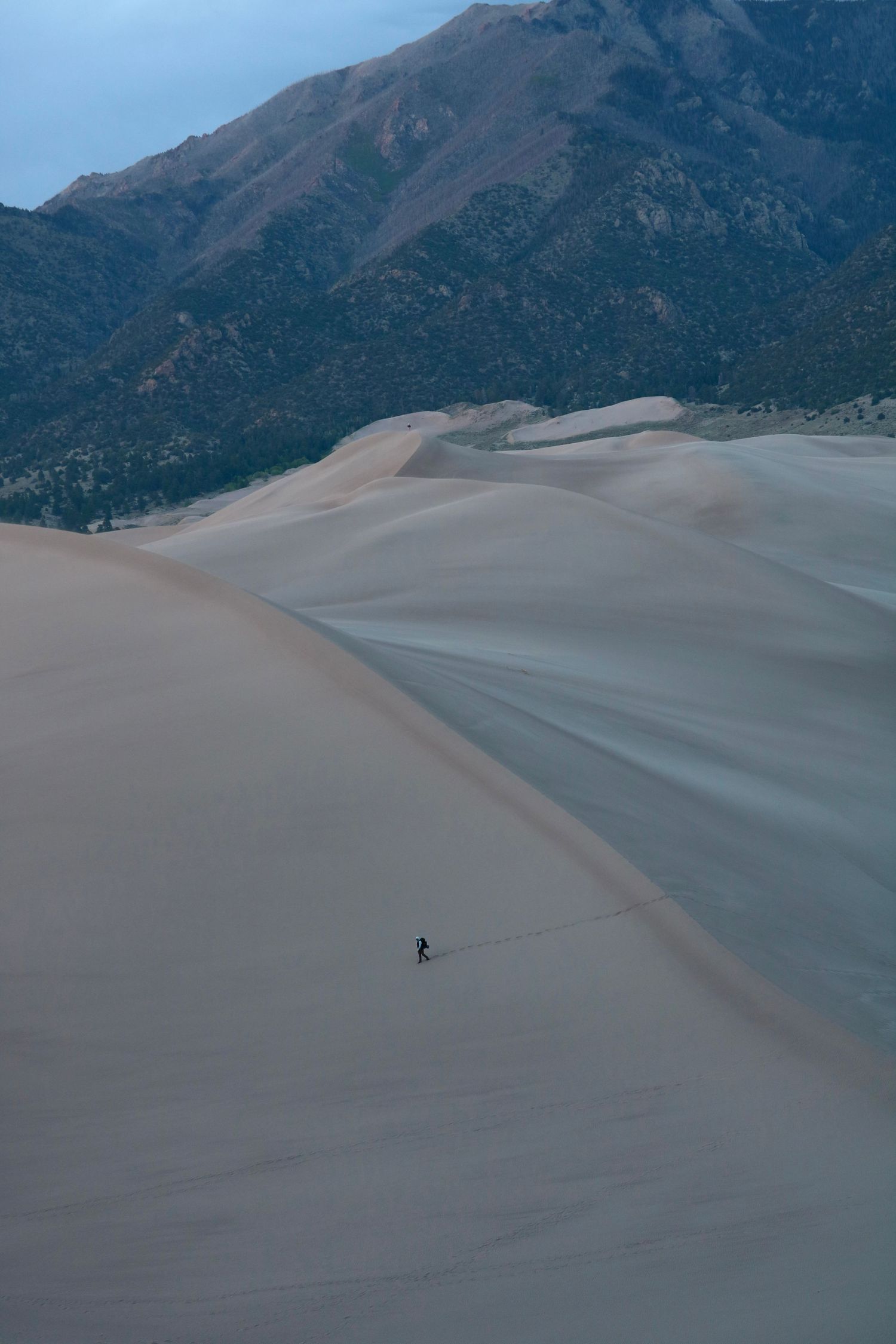 Footsteps where none have walked before