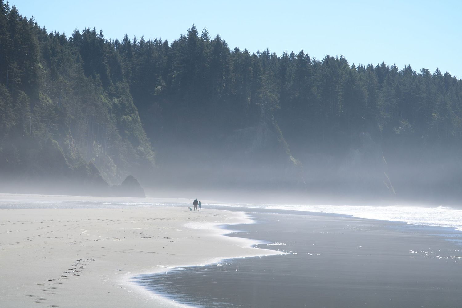 Misty west coast beaches 1
