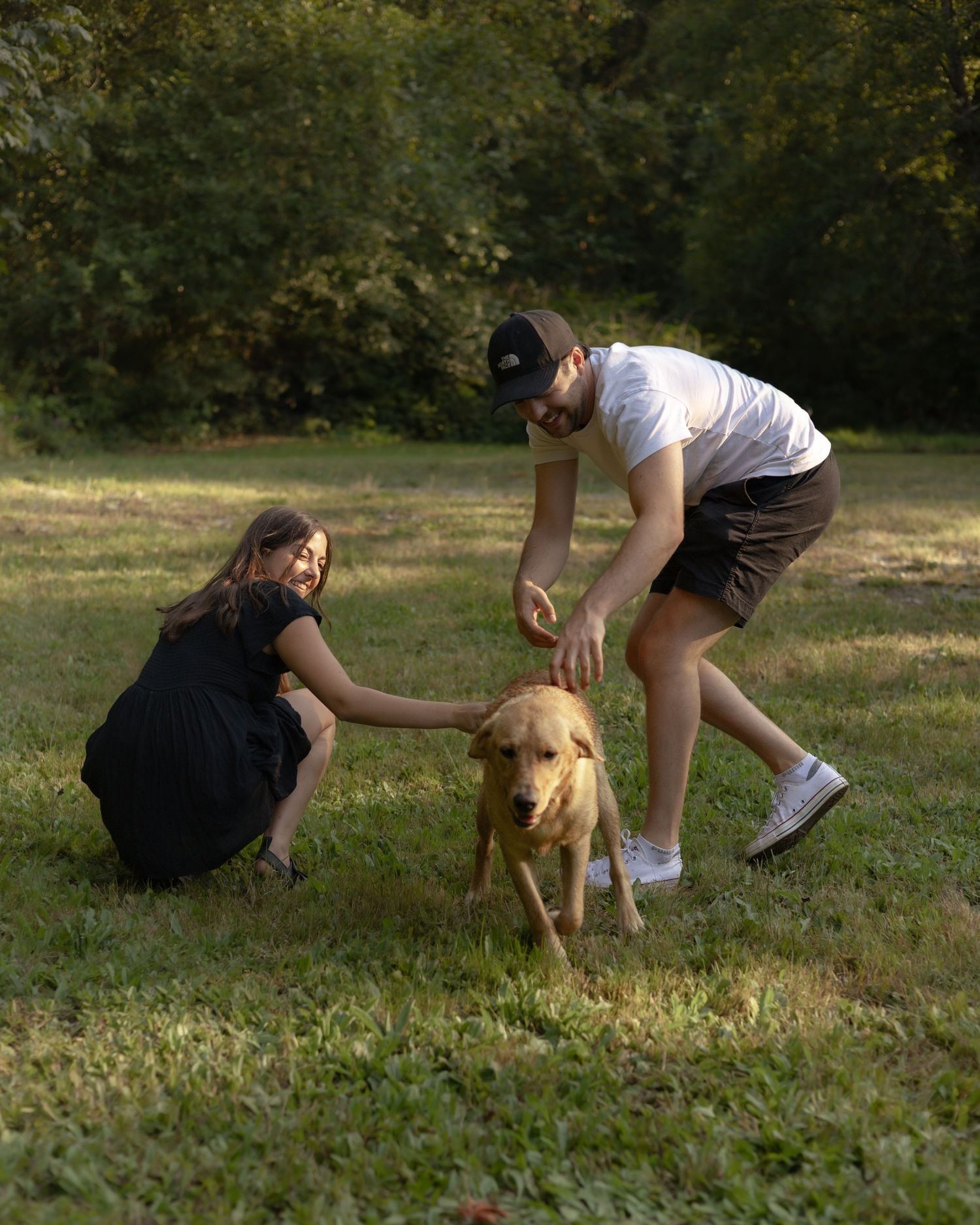 A sequence of four photos showing a person playing and interacting with a golden-colored dog in a grassy outdoor area.