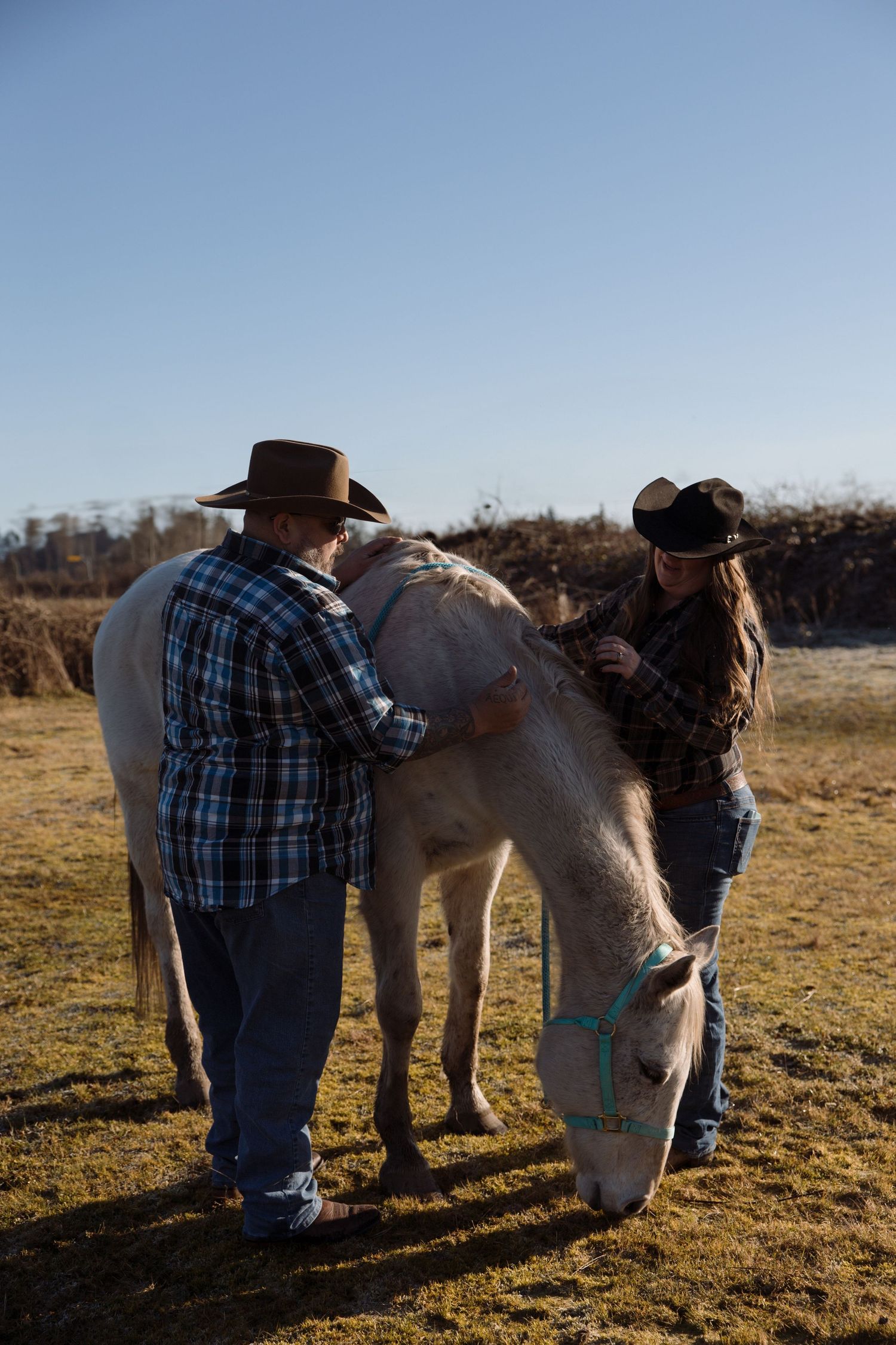 A person in plaid and cowboy hat tends to horses in a sunlit field during golden hour.