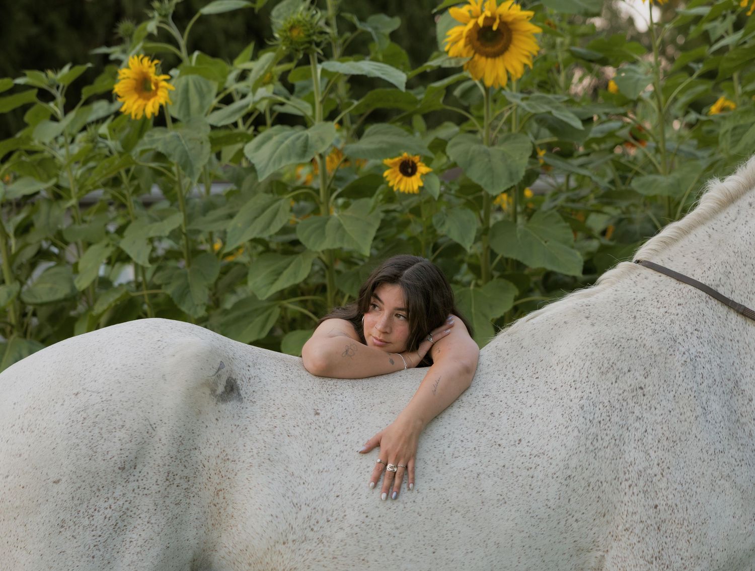 Young woman resting on a white horse surrounded by blooming sunflowers in a lush garden setting.
